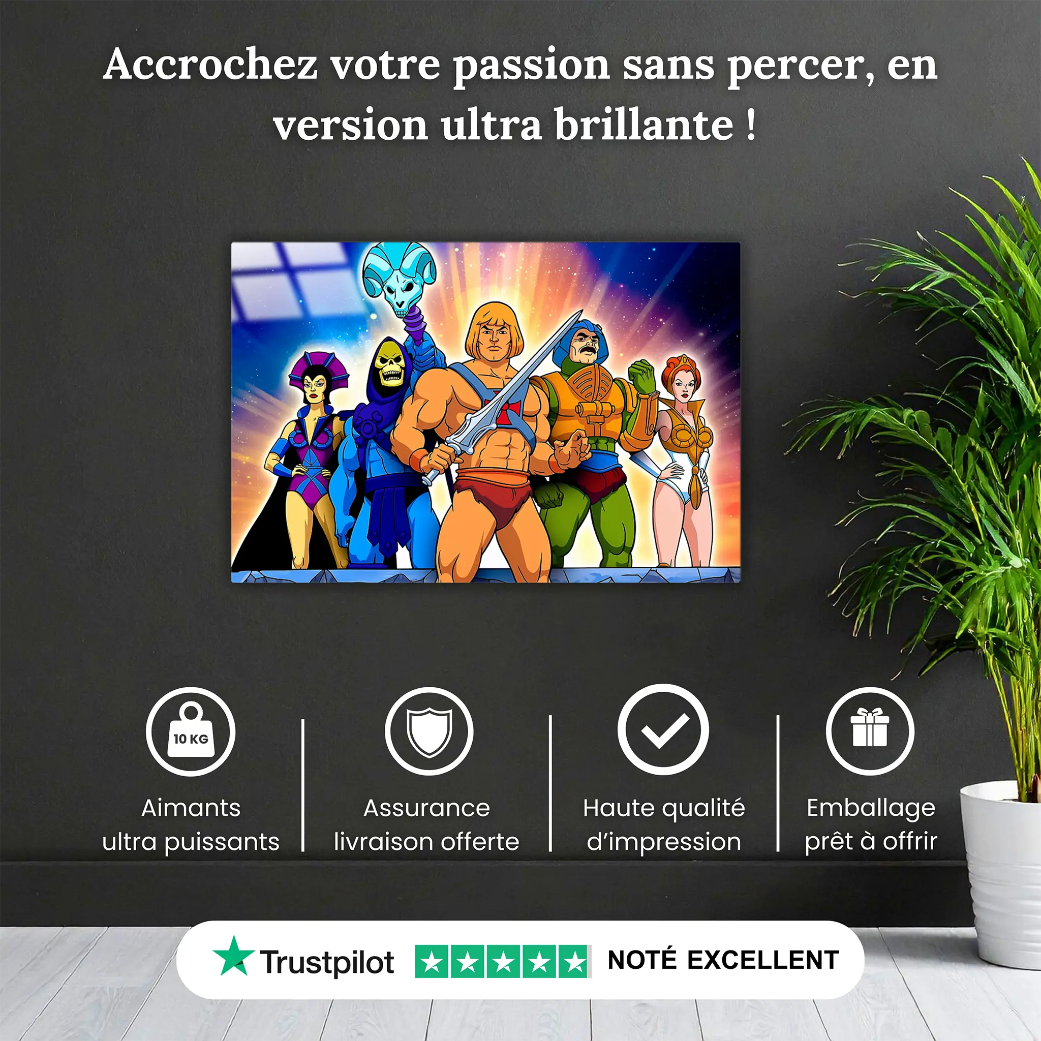 tableau-les-maitres-de-l-univers-paysage-pourquoi-acheter | DreamWay