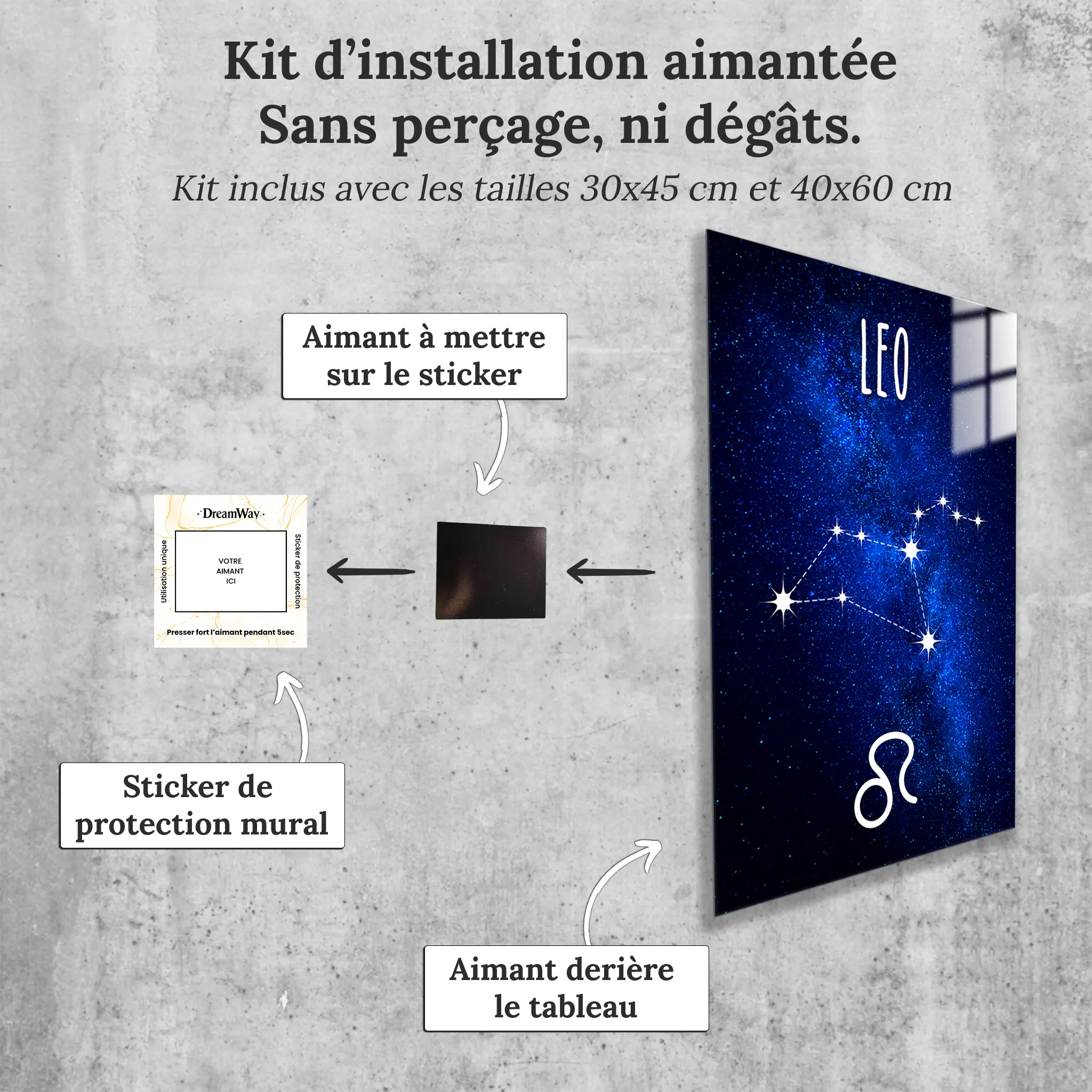 tableau-lion-constellation-avec-installation-aimantee | DreamWay