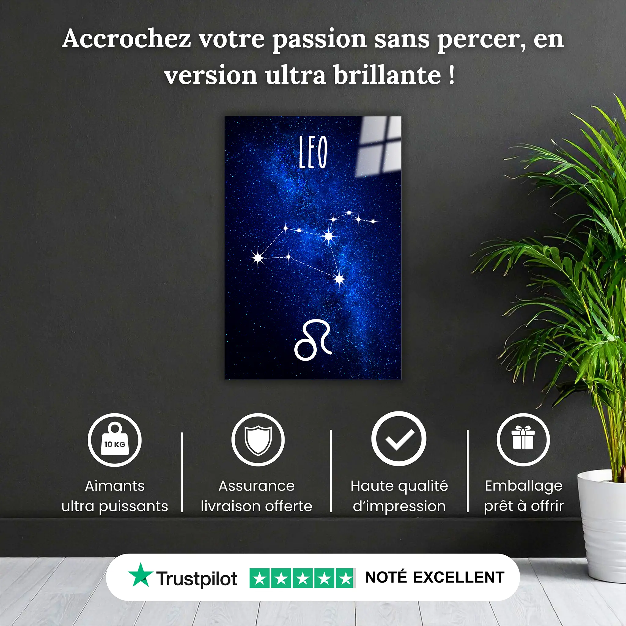 tableau-lion-constellation-pourquoi-acheter | DreamWay