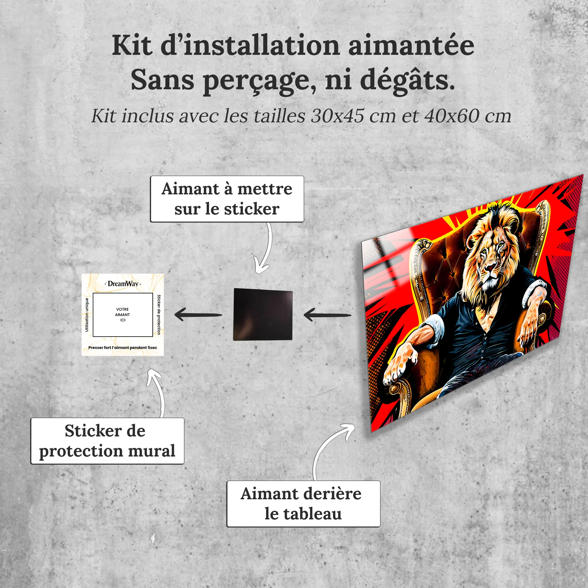 tableau-lion-pop-art-avec-installation-aimantee | DreamWay