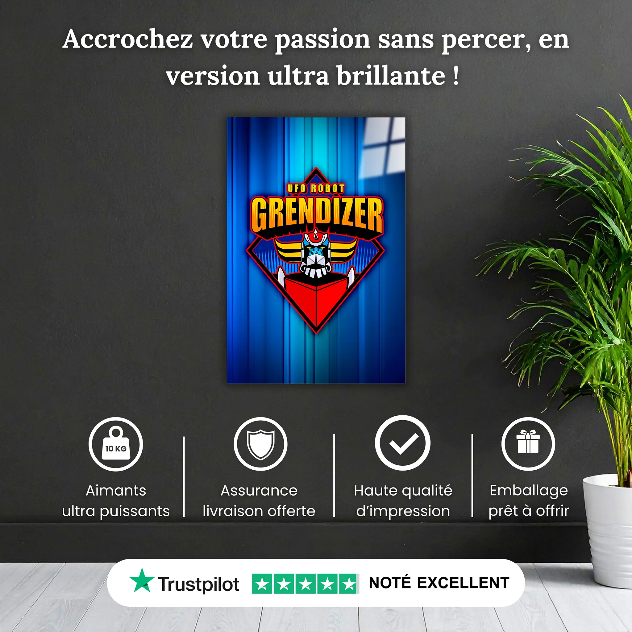 tableau-logo-goldorak-pourquoi-acheter | DreamWay