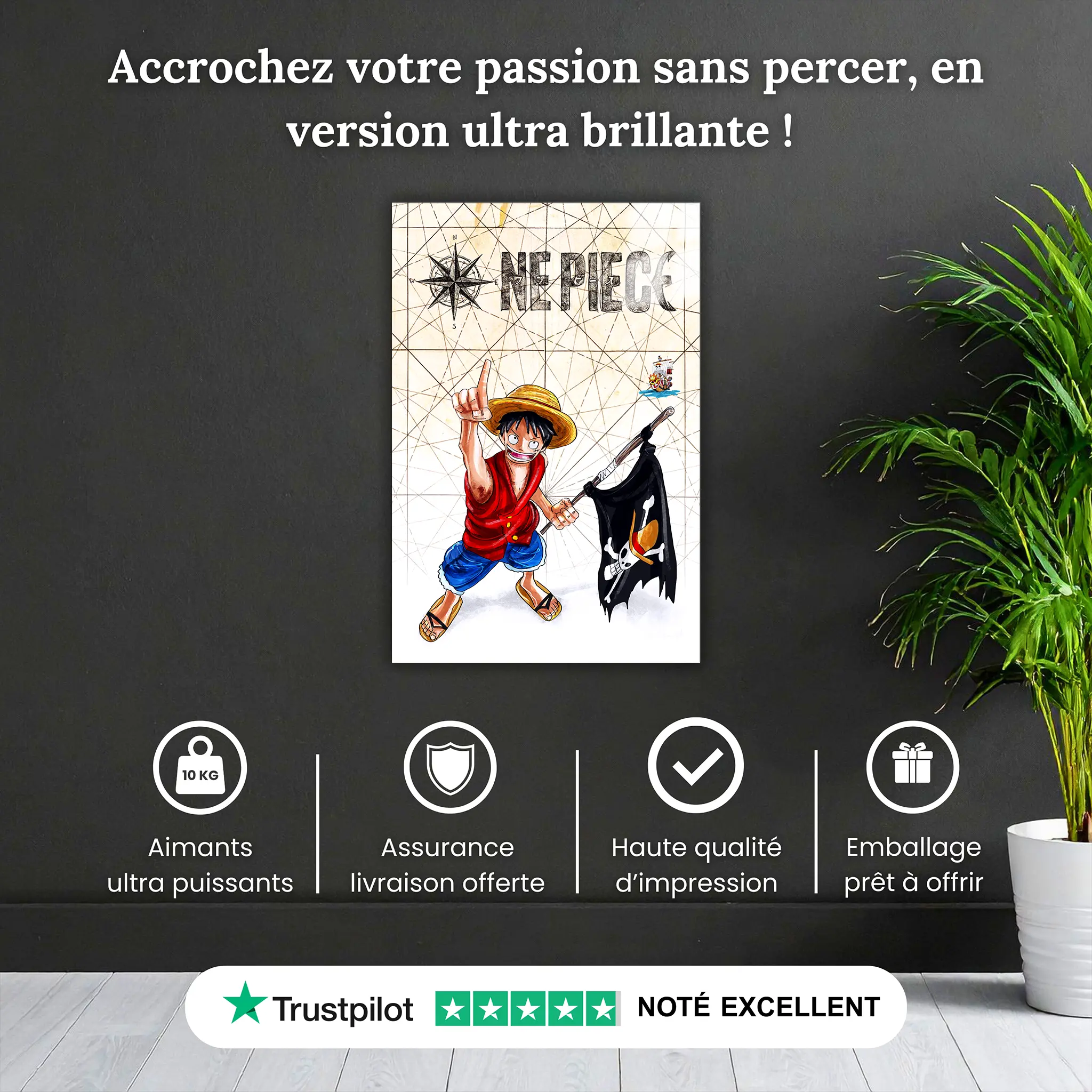 tableau-luffy-affiche-pourquoi-acheter | DreamWay