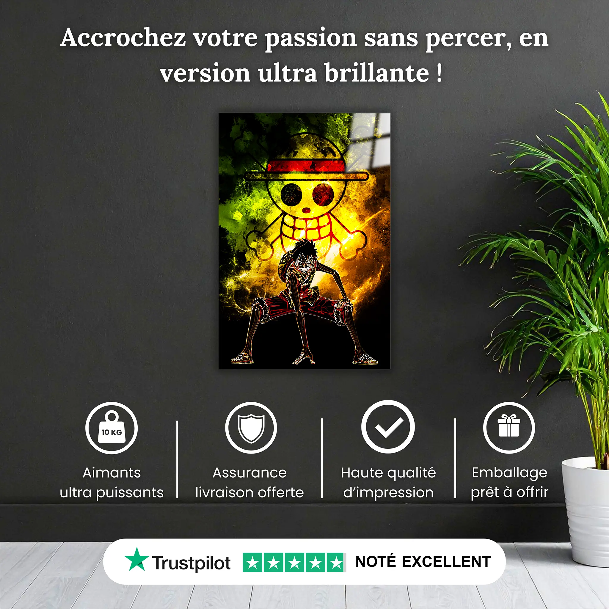 tableau-luffy-colore-pourquoi-acheter | DreamWay