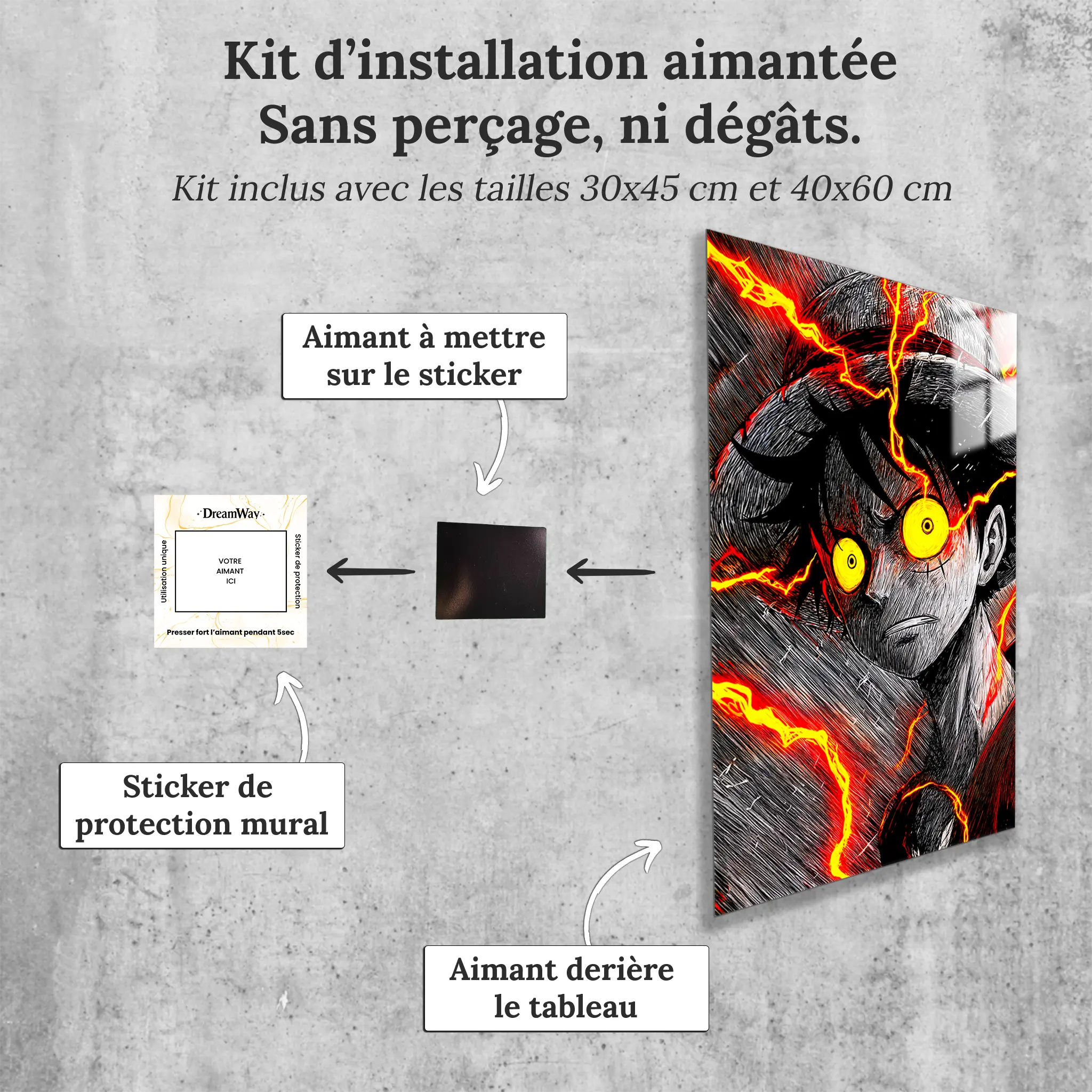 tableau-luffy-noir-et-blanc-portrait-avec-installation-aimantee | DreamWay