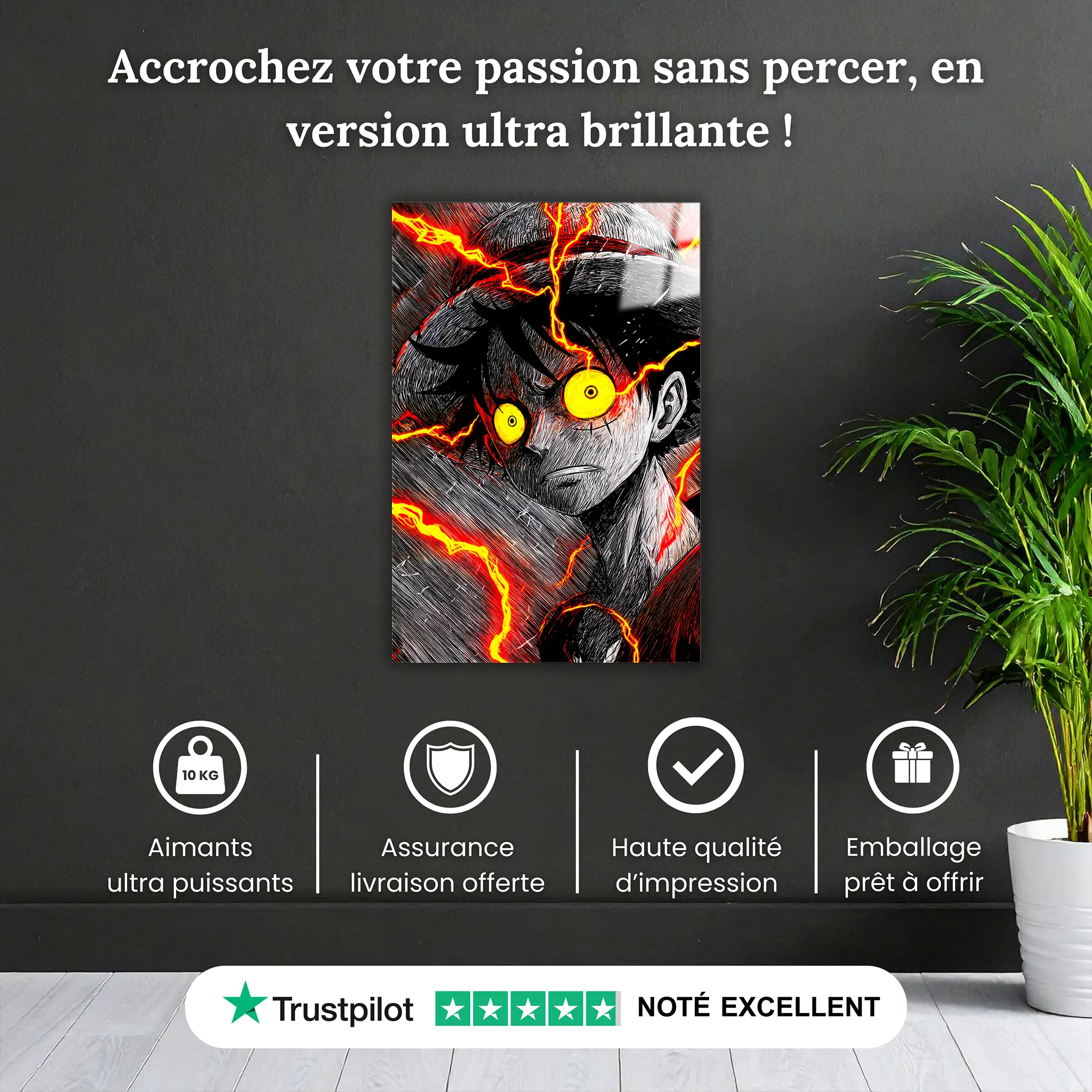 tableau-luffy-noir-et-blanc-portrait-pourquoi-acheter | DreamWay