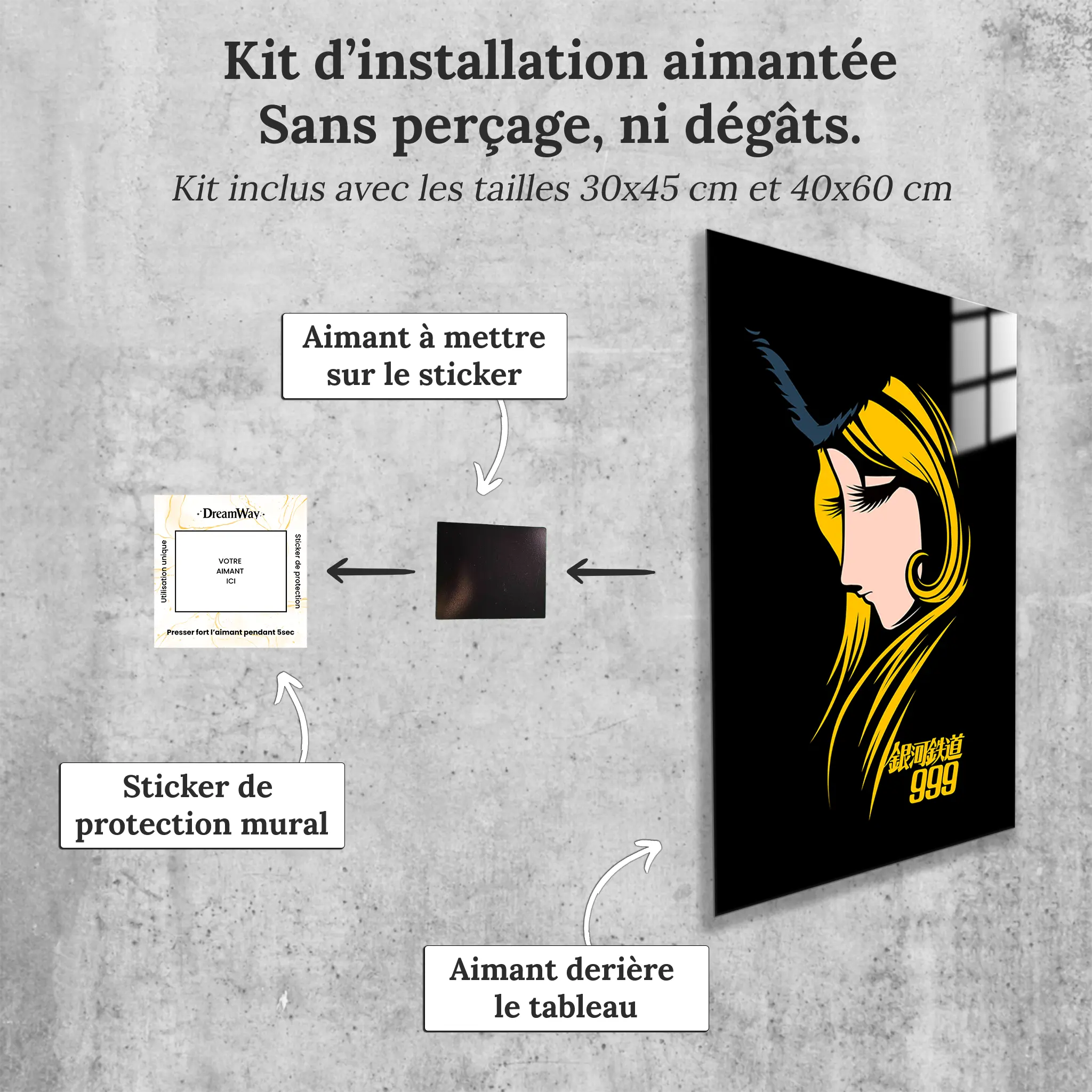 tableau-maetel-galaxy-express-999-avec-installation-aimantee | DreamWay