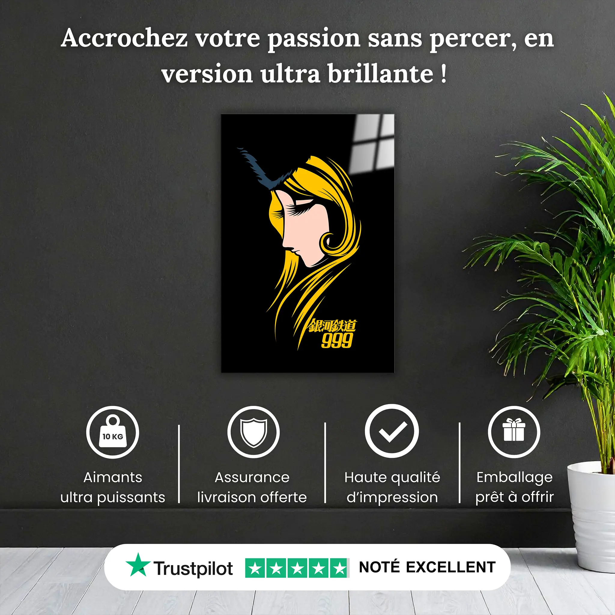 tableau-maetel-galaxy-express-999-pourquoi-acheter | DreamWay
