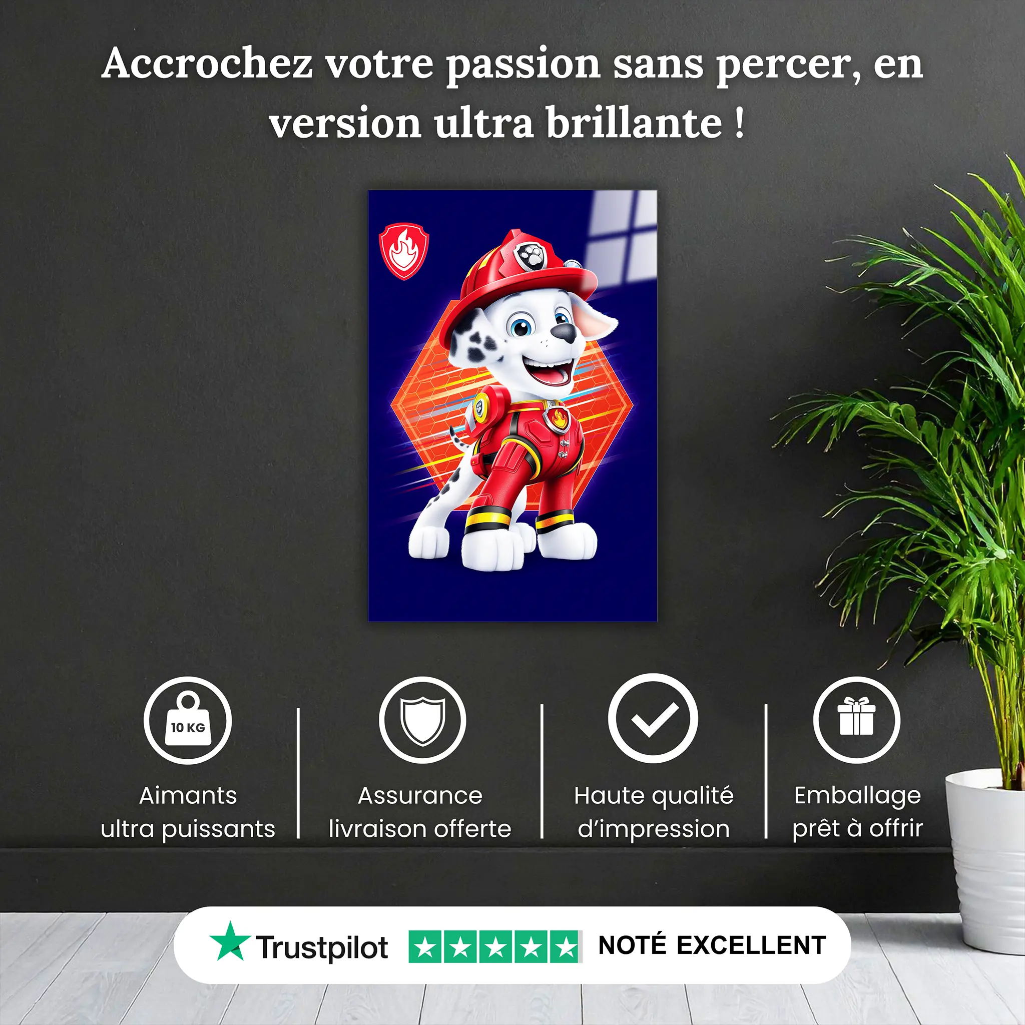 Tableau Marcus Le Gardien Des Flammes