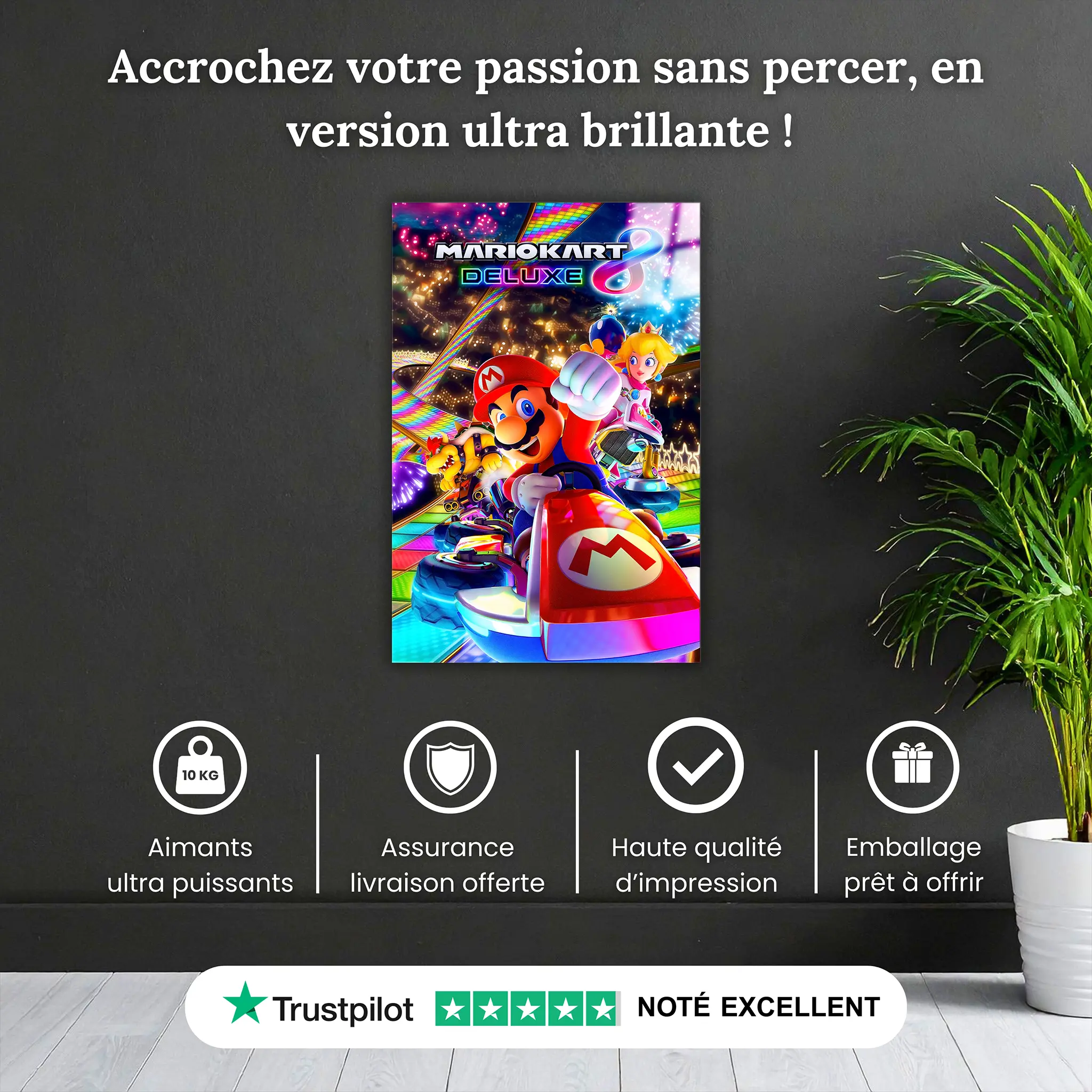 tableau-mario-kart-pourquoi-acheter | DreamWay