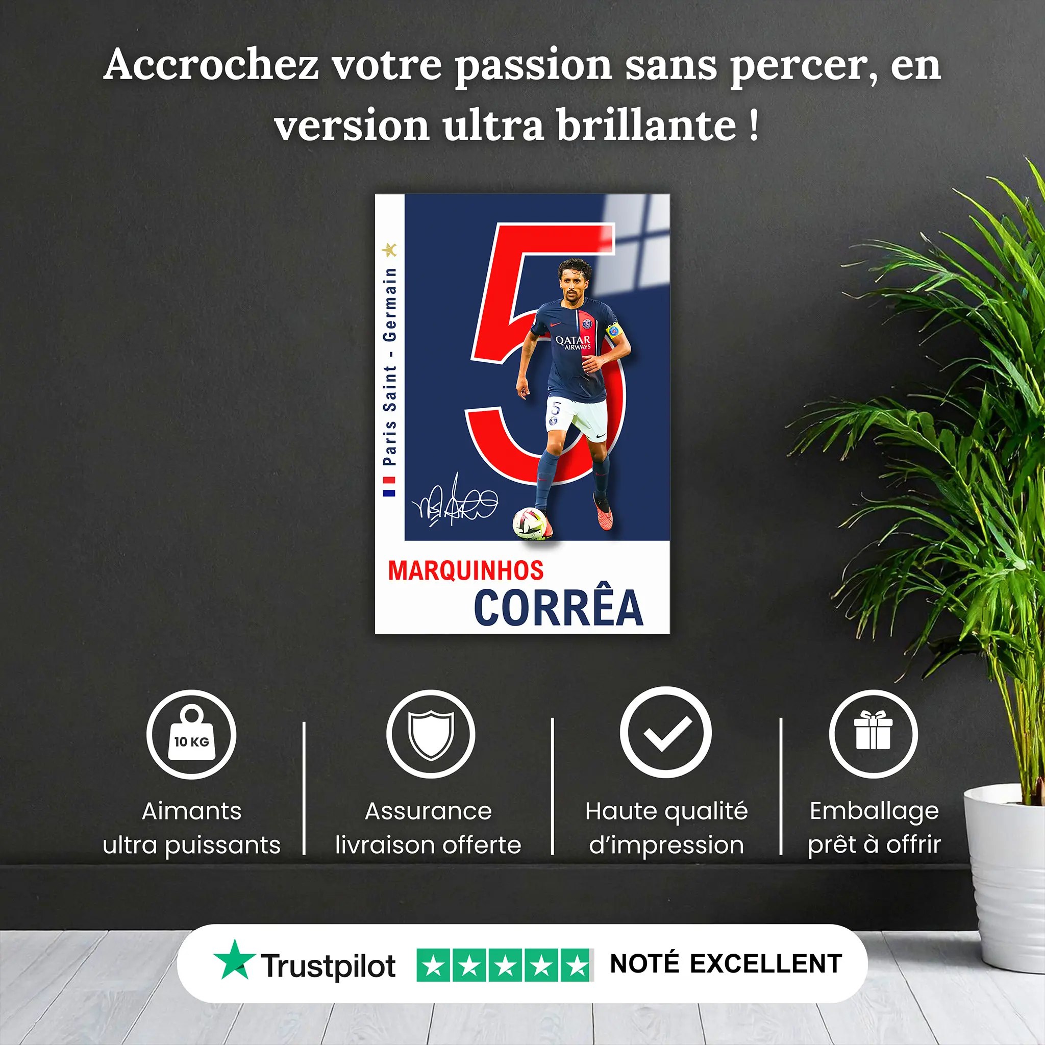 tableau-marquinhos-psg-pourquoi-acheter | DreamWay