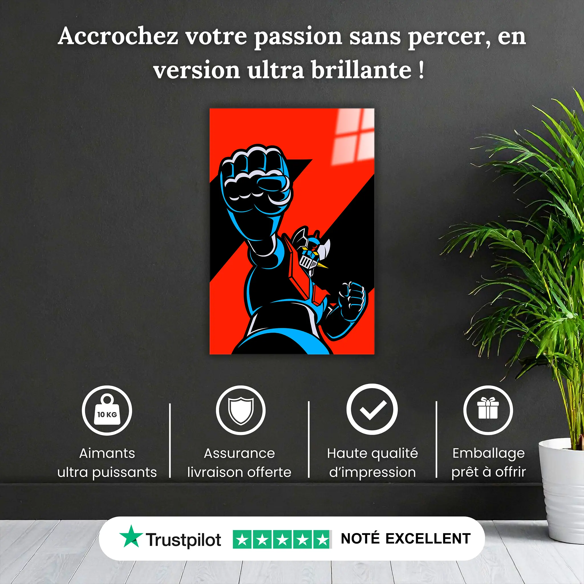 tableau-mazinger-z-pourquoi-acheter | DreamWay