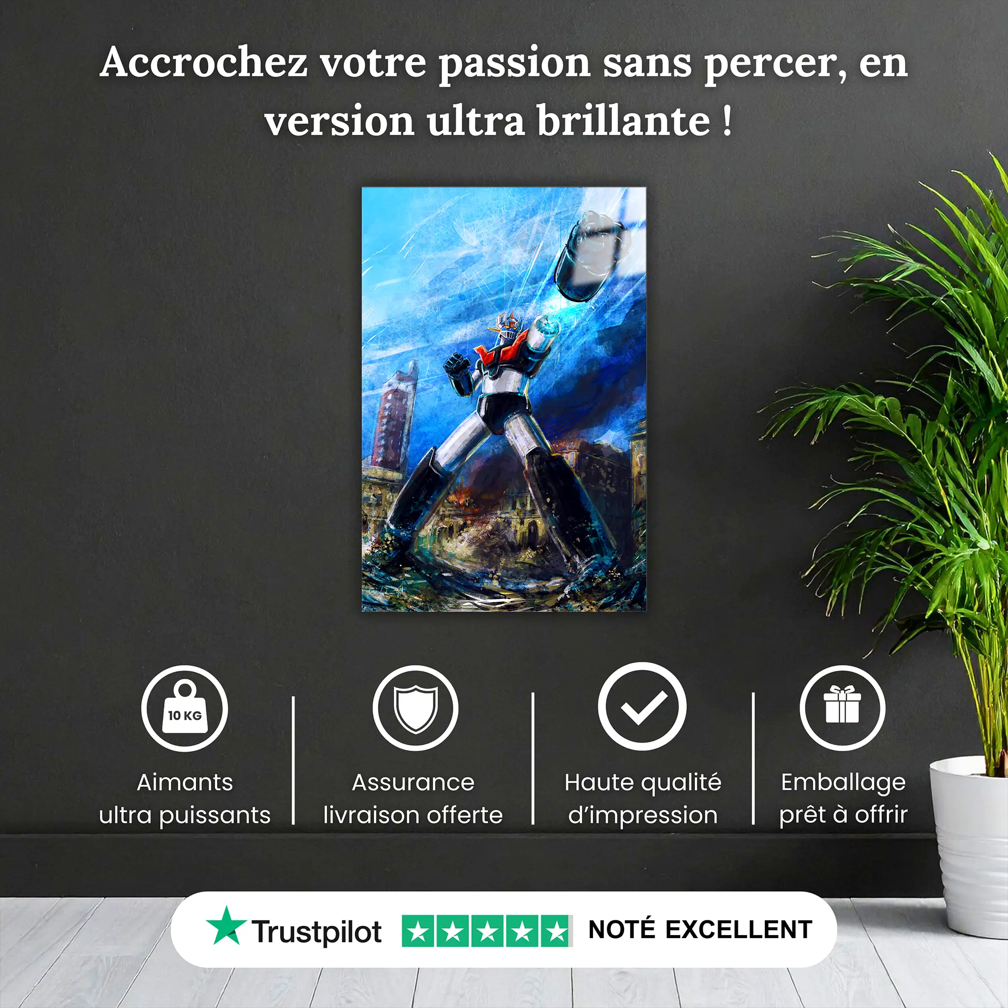 tableau-mazinger-z-turin-pourquoi-acheter | DreamWay