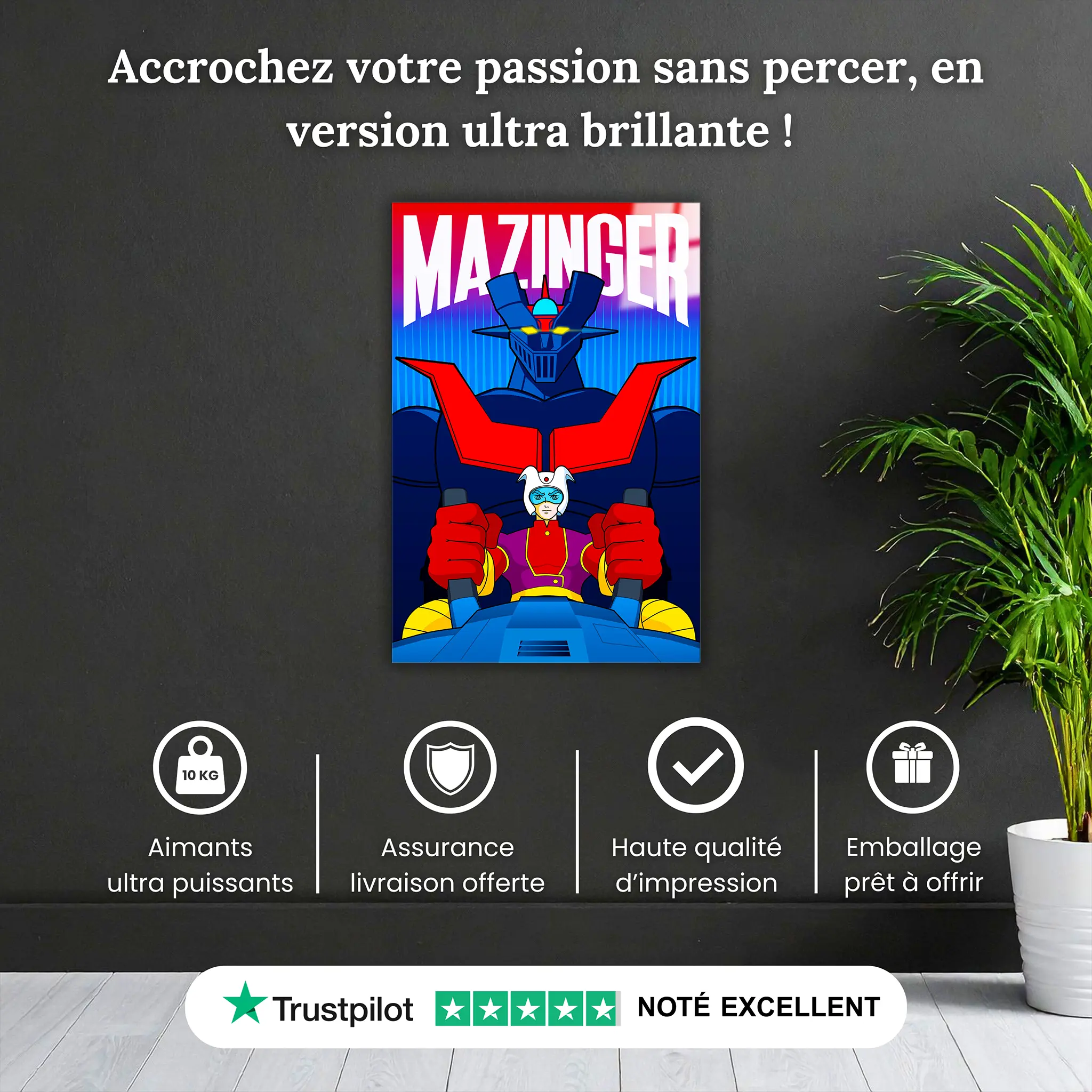 tableau-mazinger-z-vaisseau-pourquoi-acheter | DreamWay