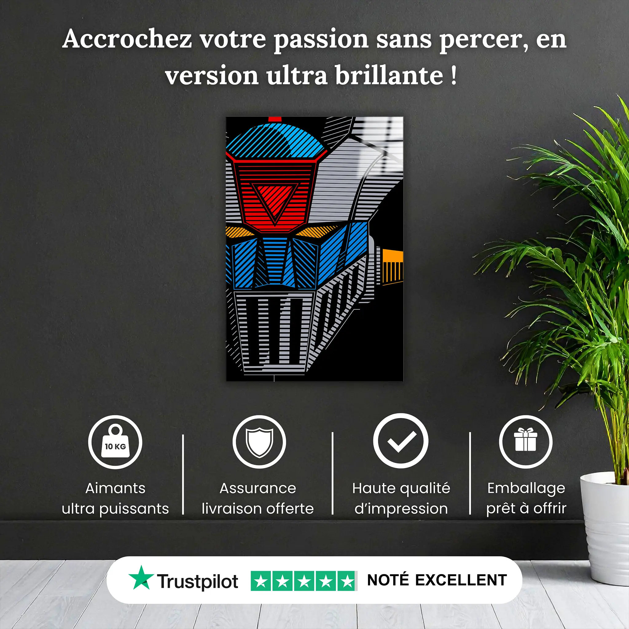 tableau-mazinger-z-visage-pourquoi-acheter | DreamWay