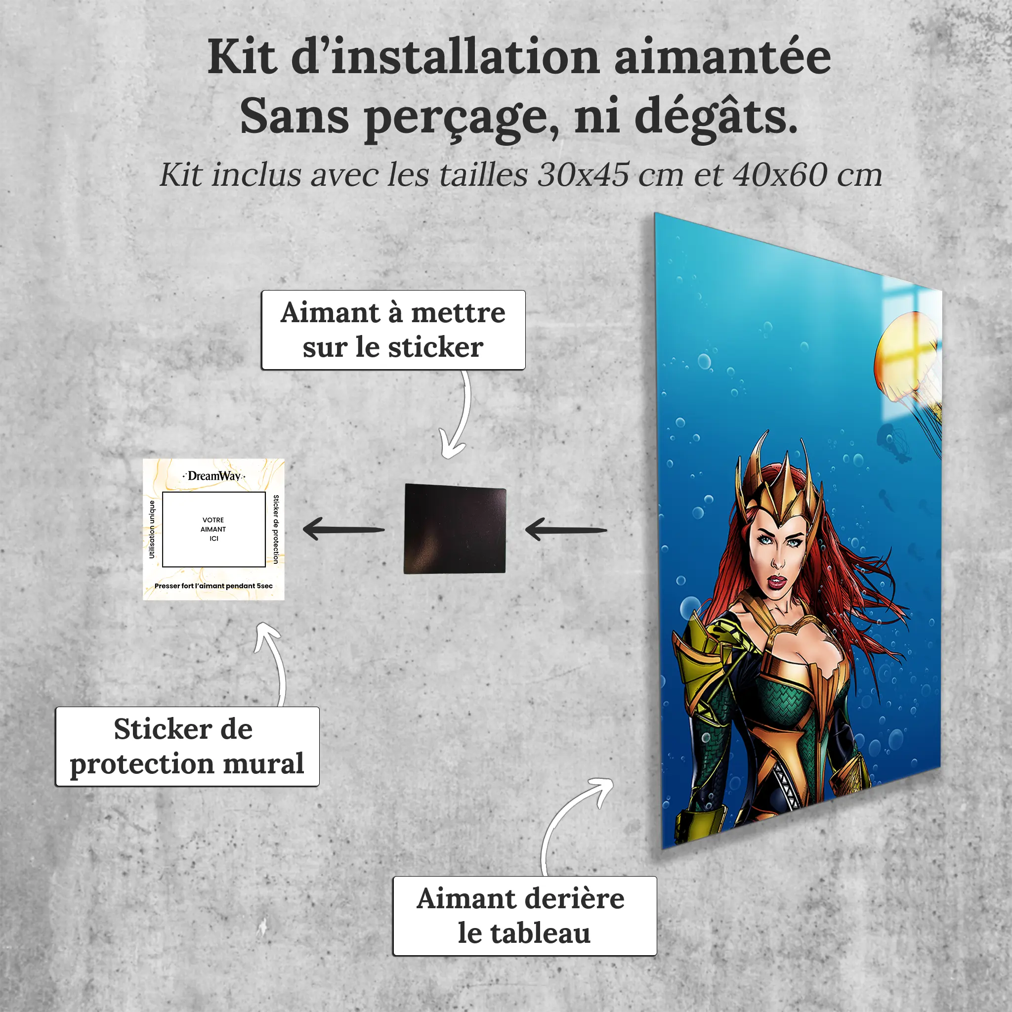 tableau-mera-aquaman-avec-installation-aimantee | DreamWay
