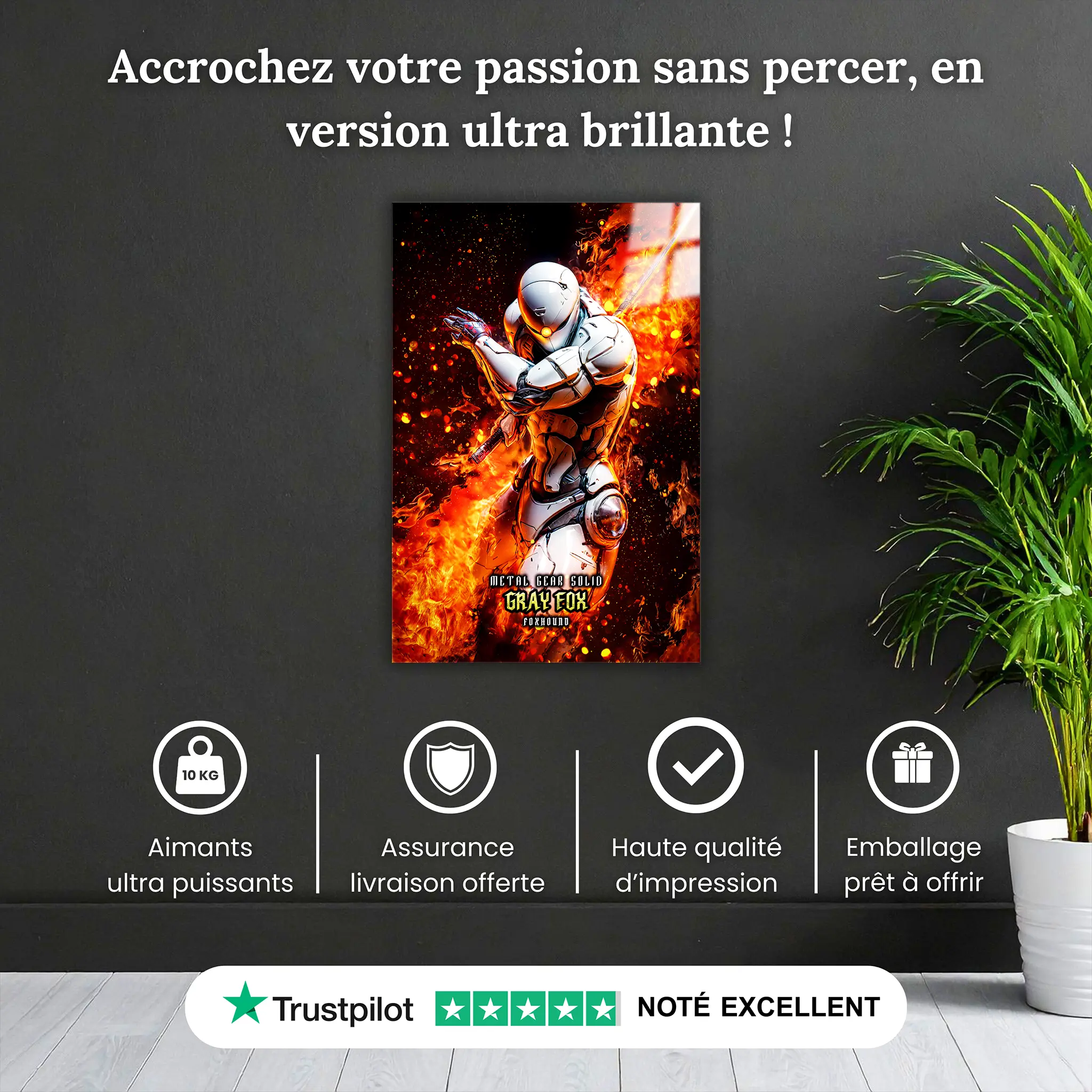tableau-metal-gear-solid-grey-fox-cyborg-ninja-pourquoi-acheter | DreamWay