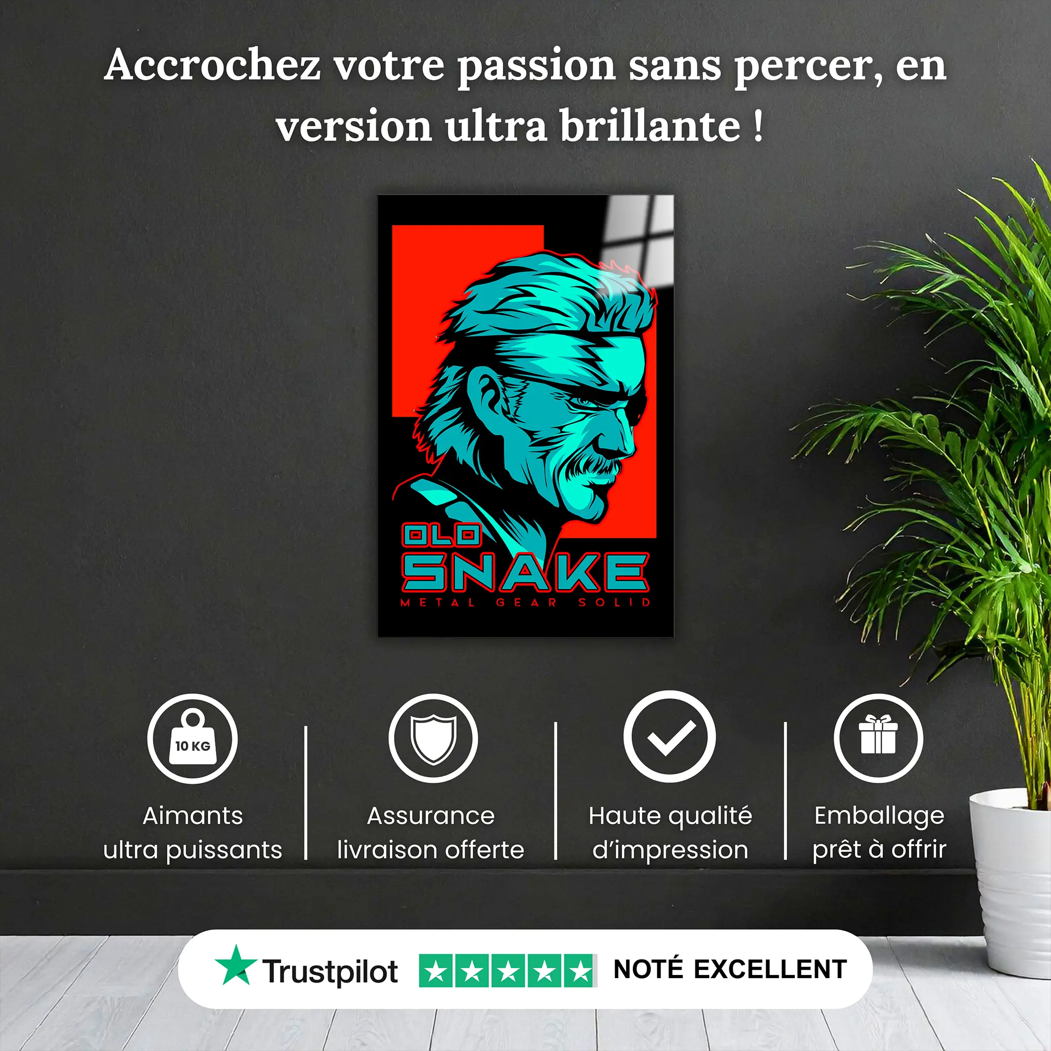 Tableau Metal Gear Solid Olo Snake