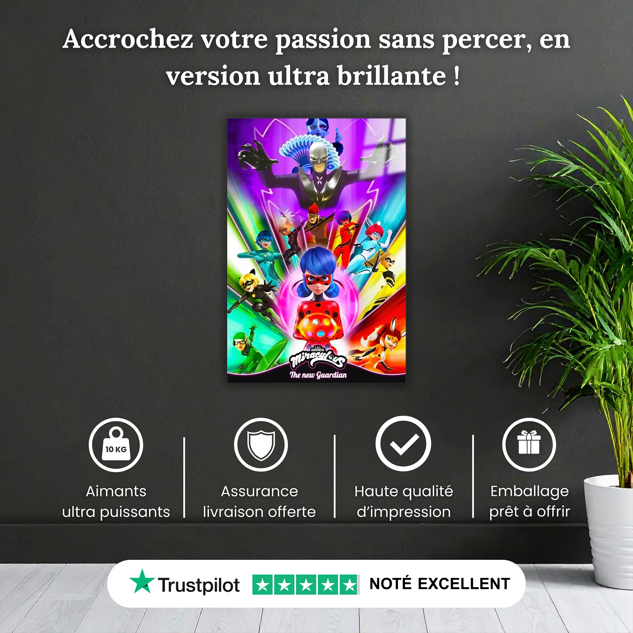 tableau-miraculous-affiche-pourquoi-acheter | DreamWay