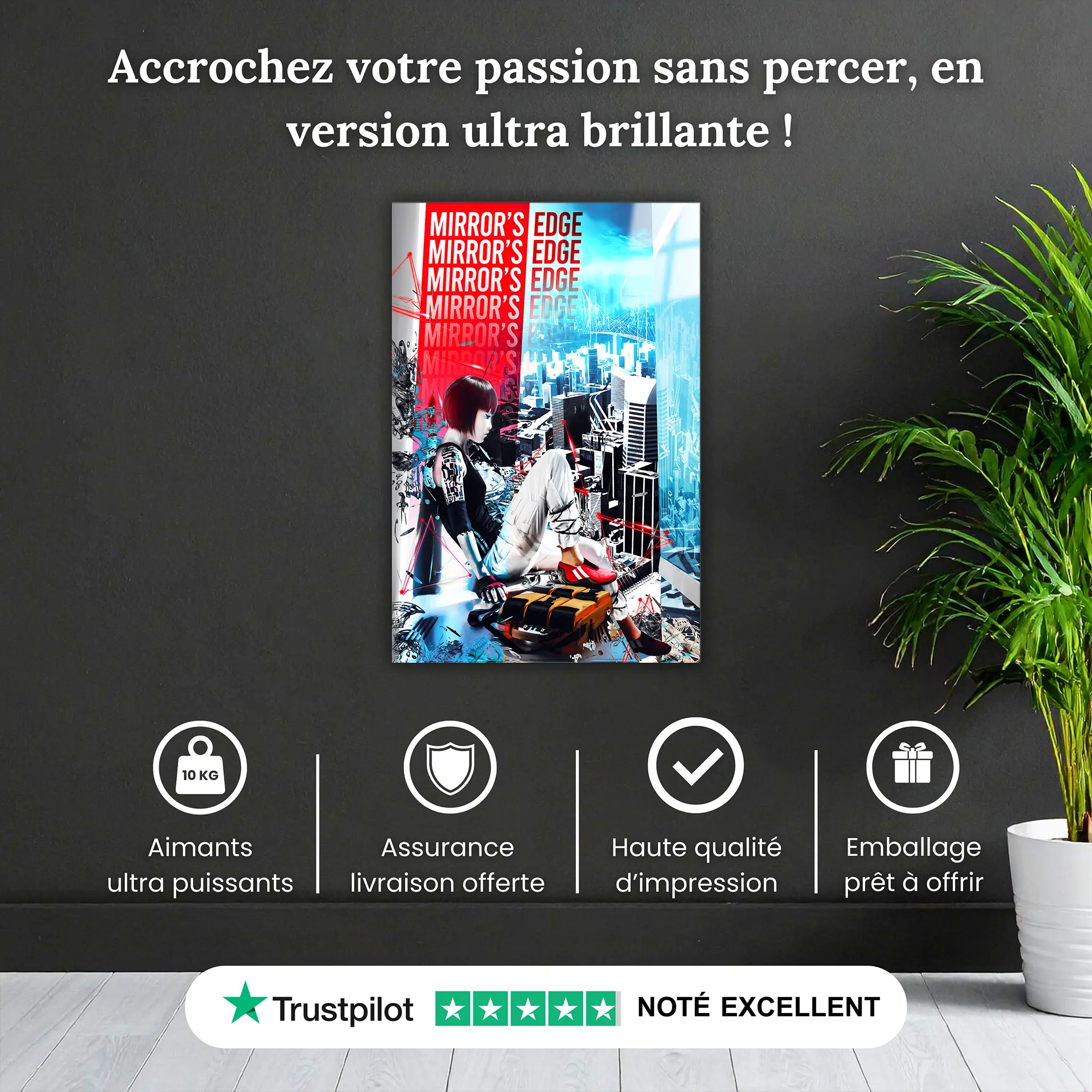 tableau-mirror-edge-faith-connors-pourquoi-acheter | DreamWay