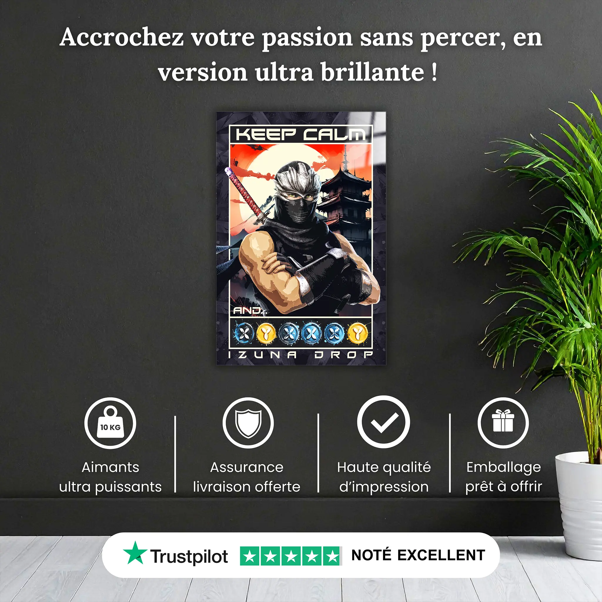 tableau-ninja-gaiden-2-izuna-drop-pourquoi-acheter | DreamWay