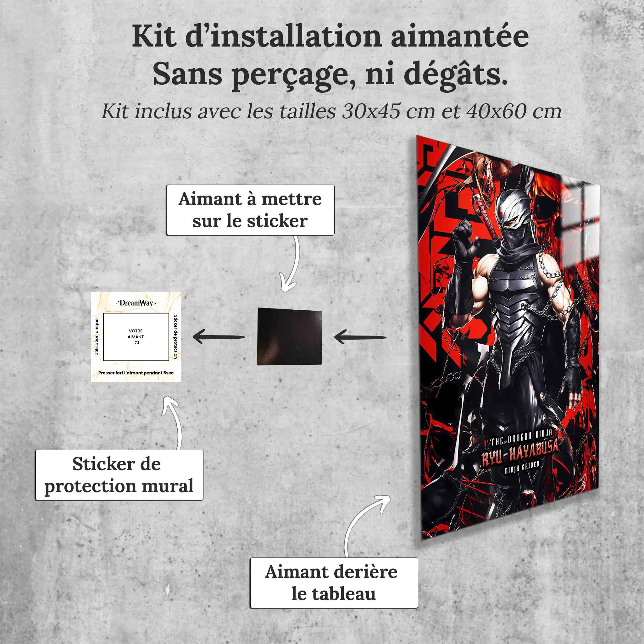 tableau-ninja-gaiden-3-ryu-hayabusa-avec-installation-aimantee | DreamWay