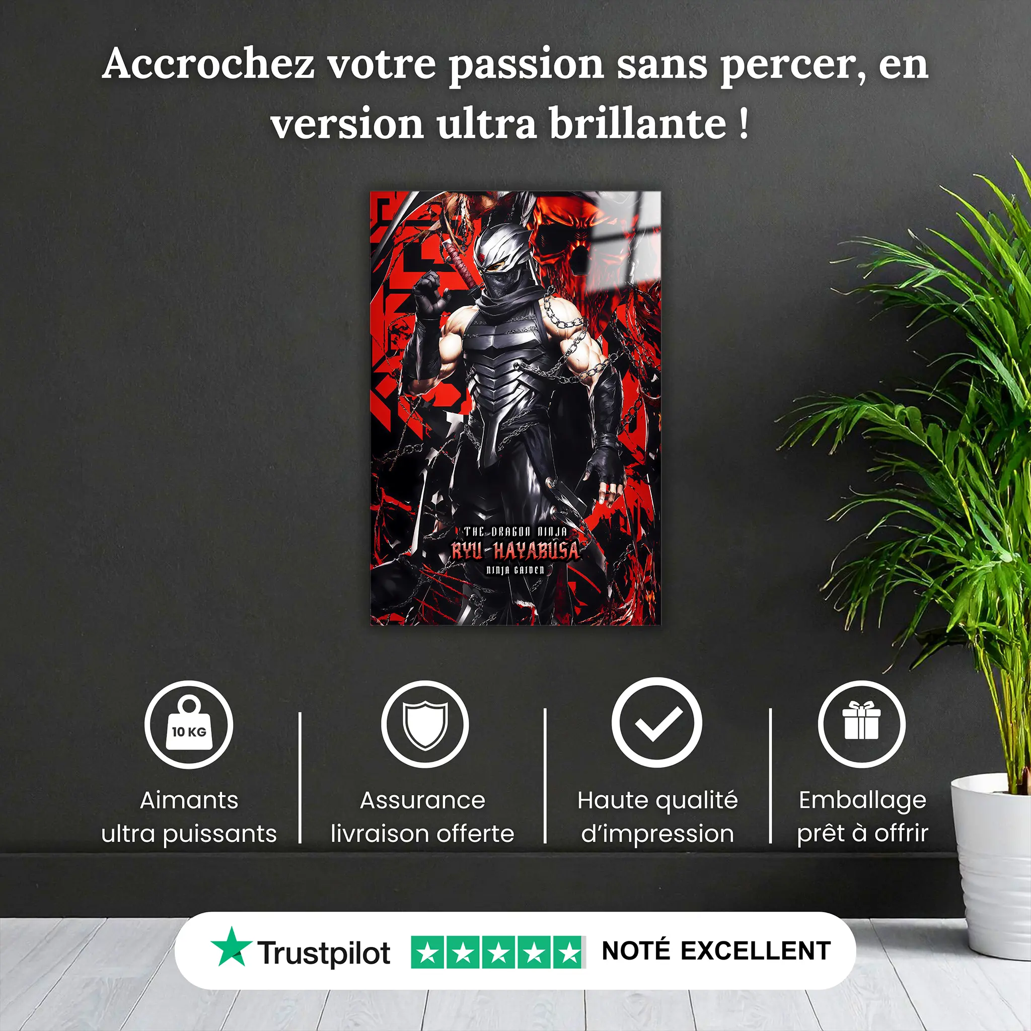 tableau-ninja-gaiden-3-ryu-hayabusa-pourquoi-acheter | DreamWay