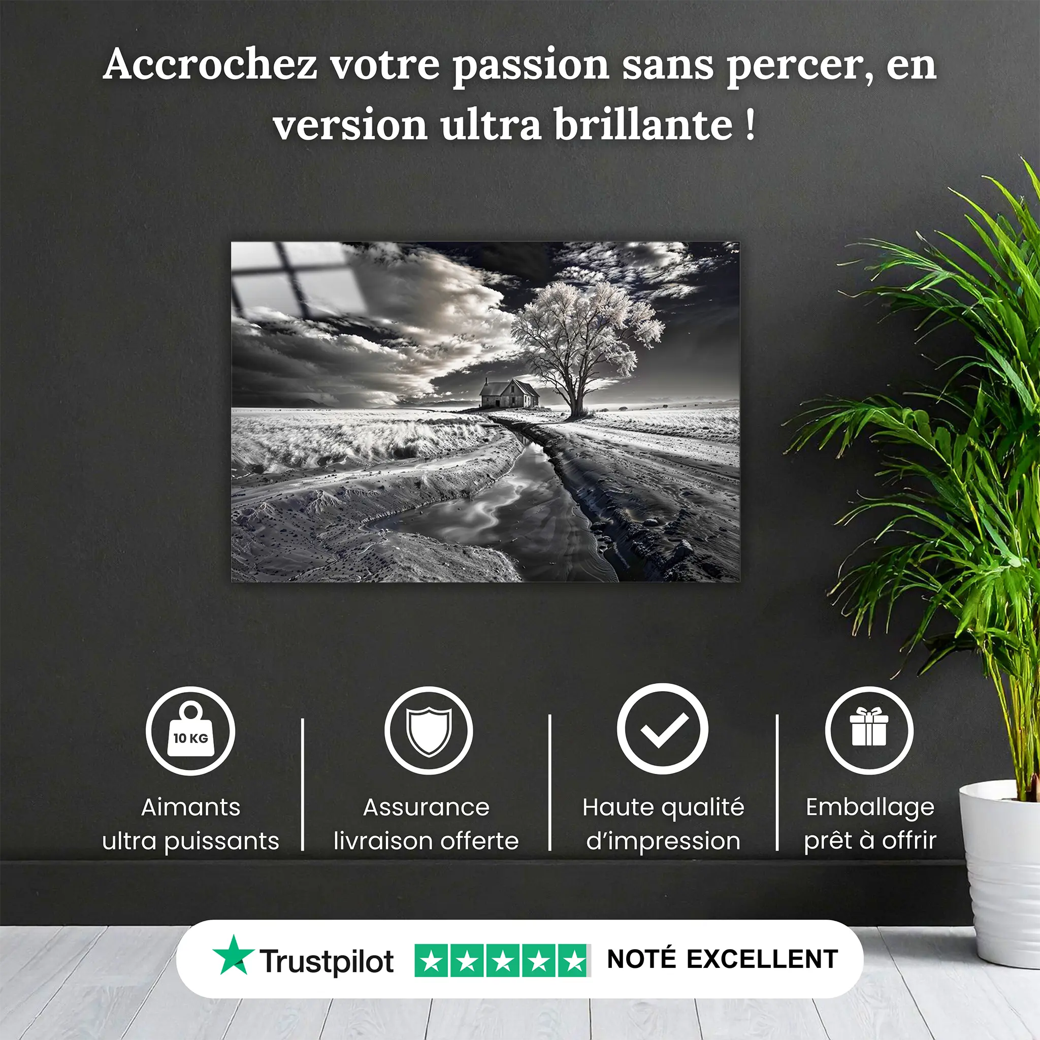 tableau-noir-et-blanc-paysage-4k-pourquoi-acheter | DreamWay