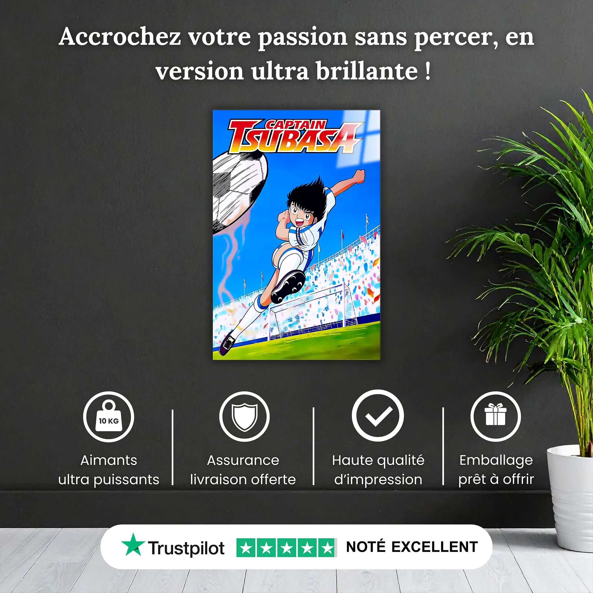tableau-olive-et-tom-captain-tsubasa-pourquoi-acheter | DreamWay