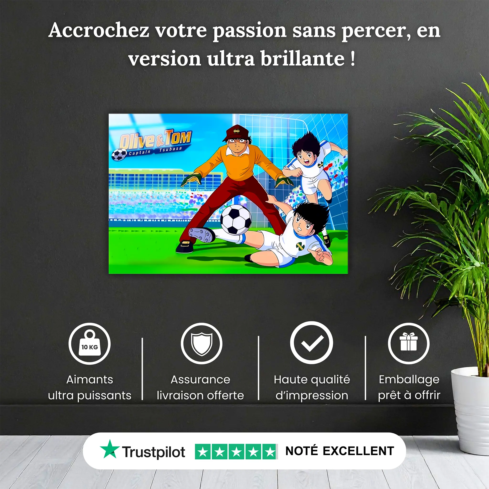 tableau-olive-et-tom-la-rencontre-pourquoi-acheter | DreamWay