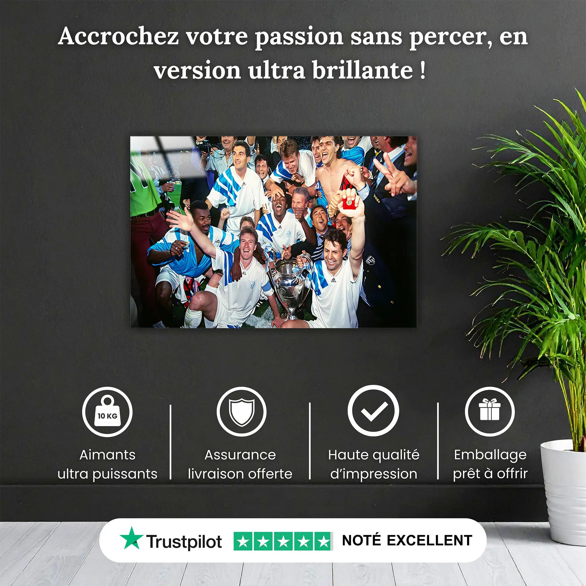 tableau-om-champion-1993-pourquoi-acheter | DreamWay