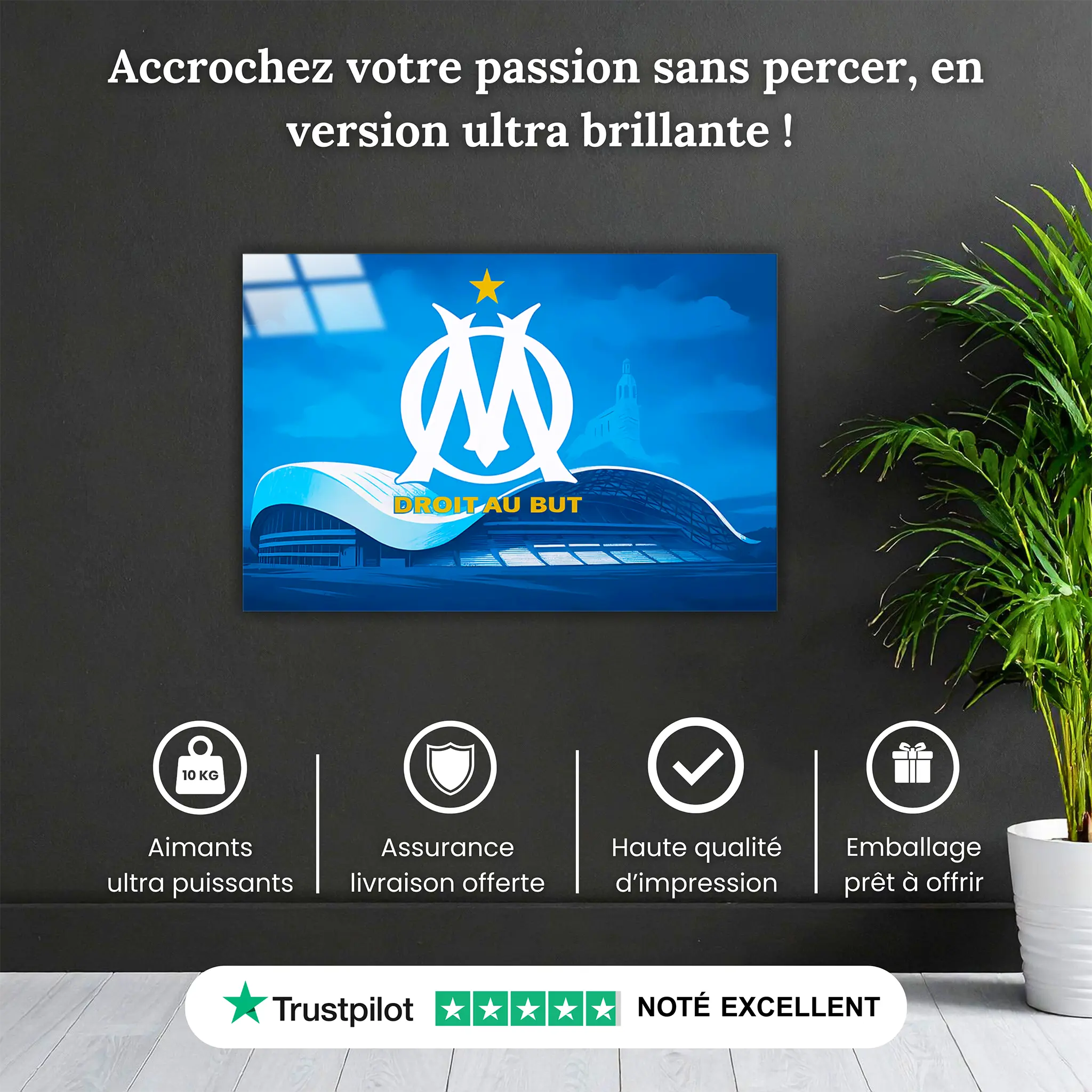 tableau-om-velodrome-pourquoi-acheter | DreamWay