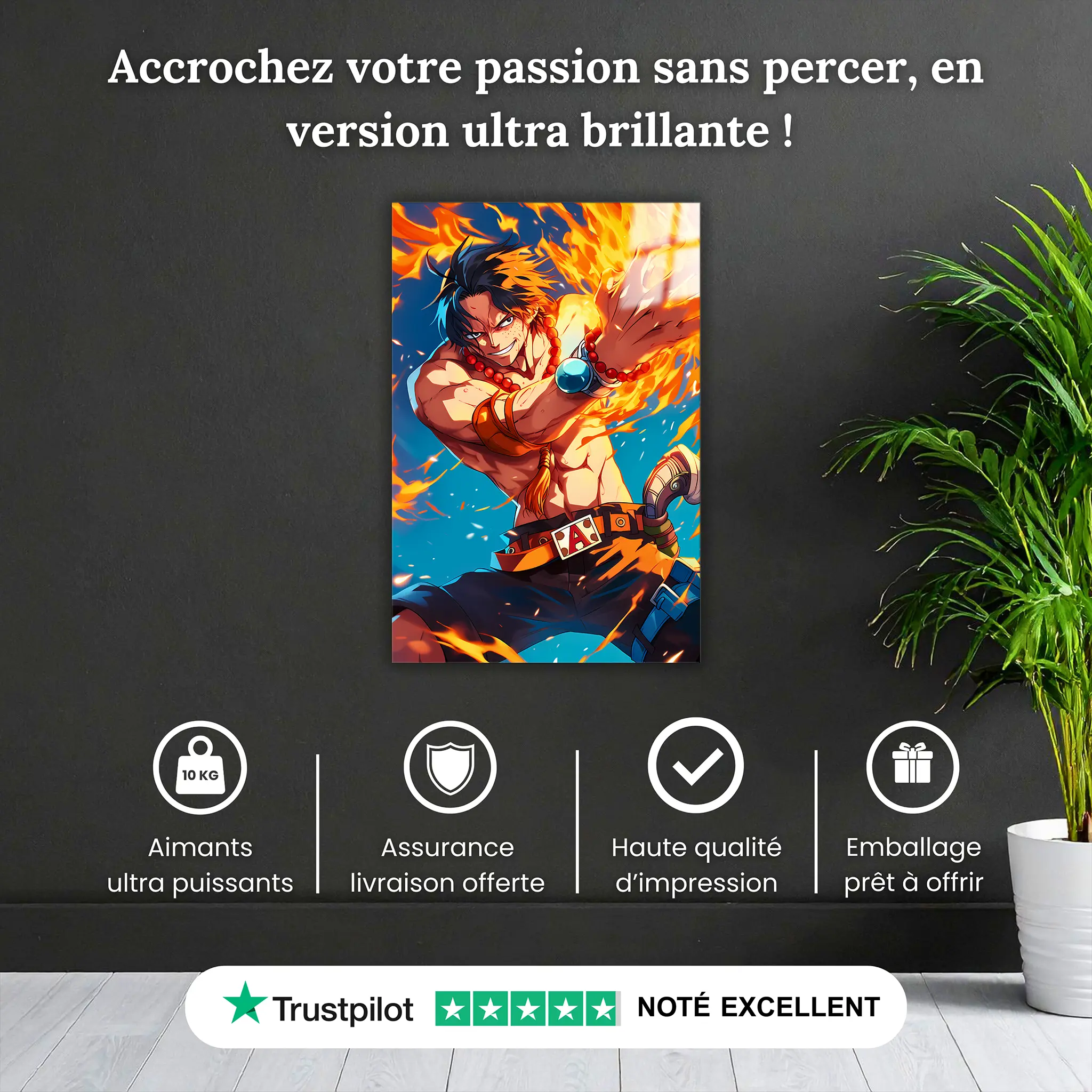 tableau-one-piece-ace-aux-poings-ardents-pourquoi-acheter | DreamWay