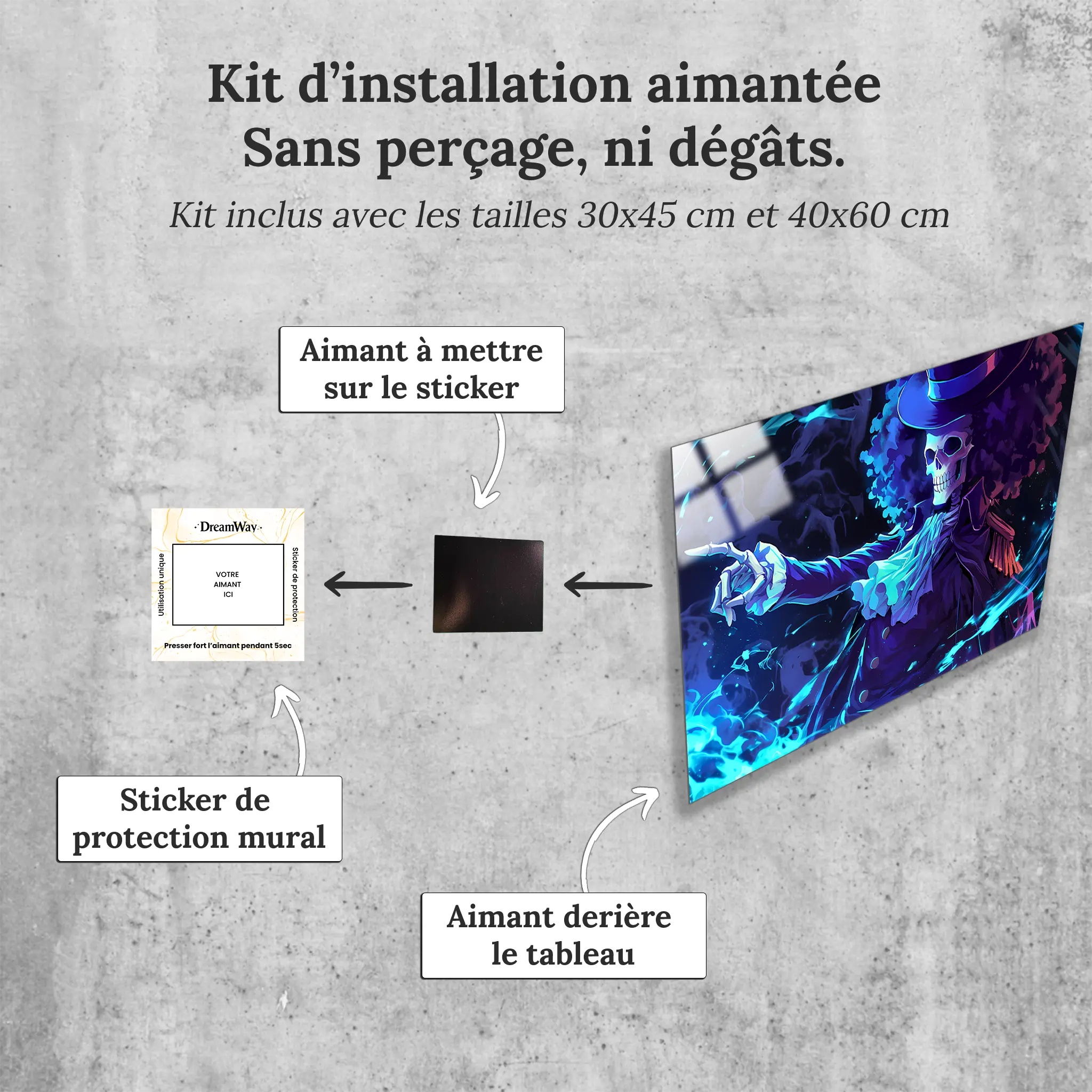 tableau-one-piece-brook-avec-installation-aimantee | DreamWay
