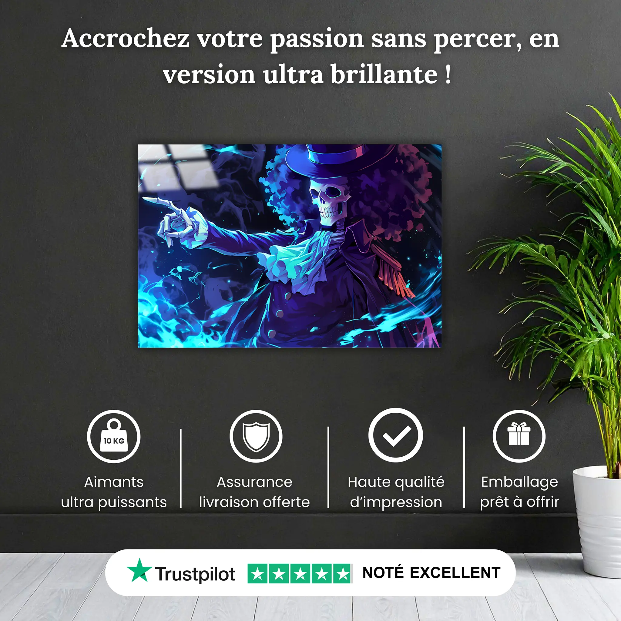 tableau-one-piece-brook-pourquoi-acheter | DreamWay