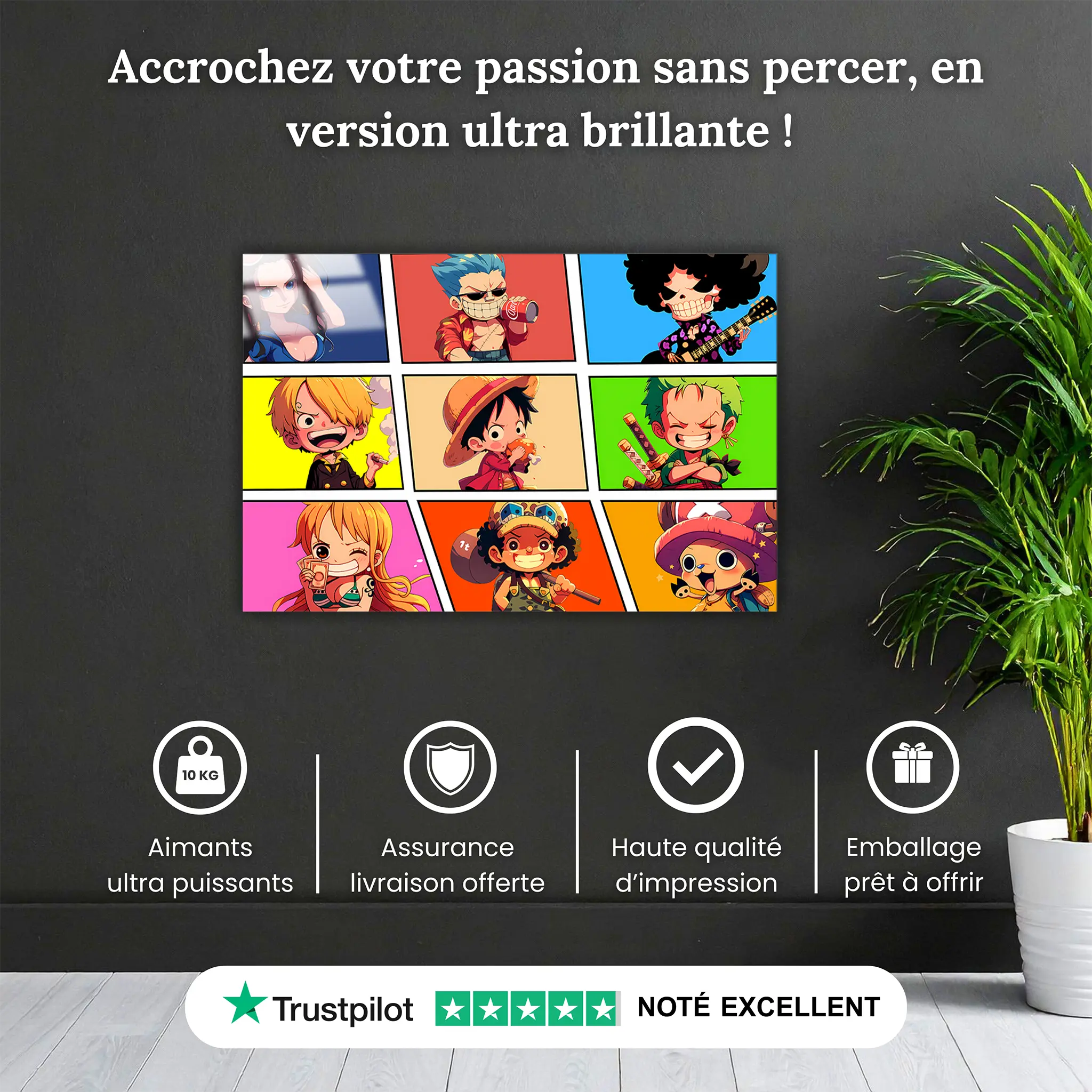 tableau-one-piece-chibi-pourquoi-acheter | DreamWay