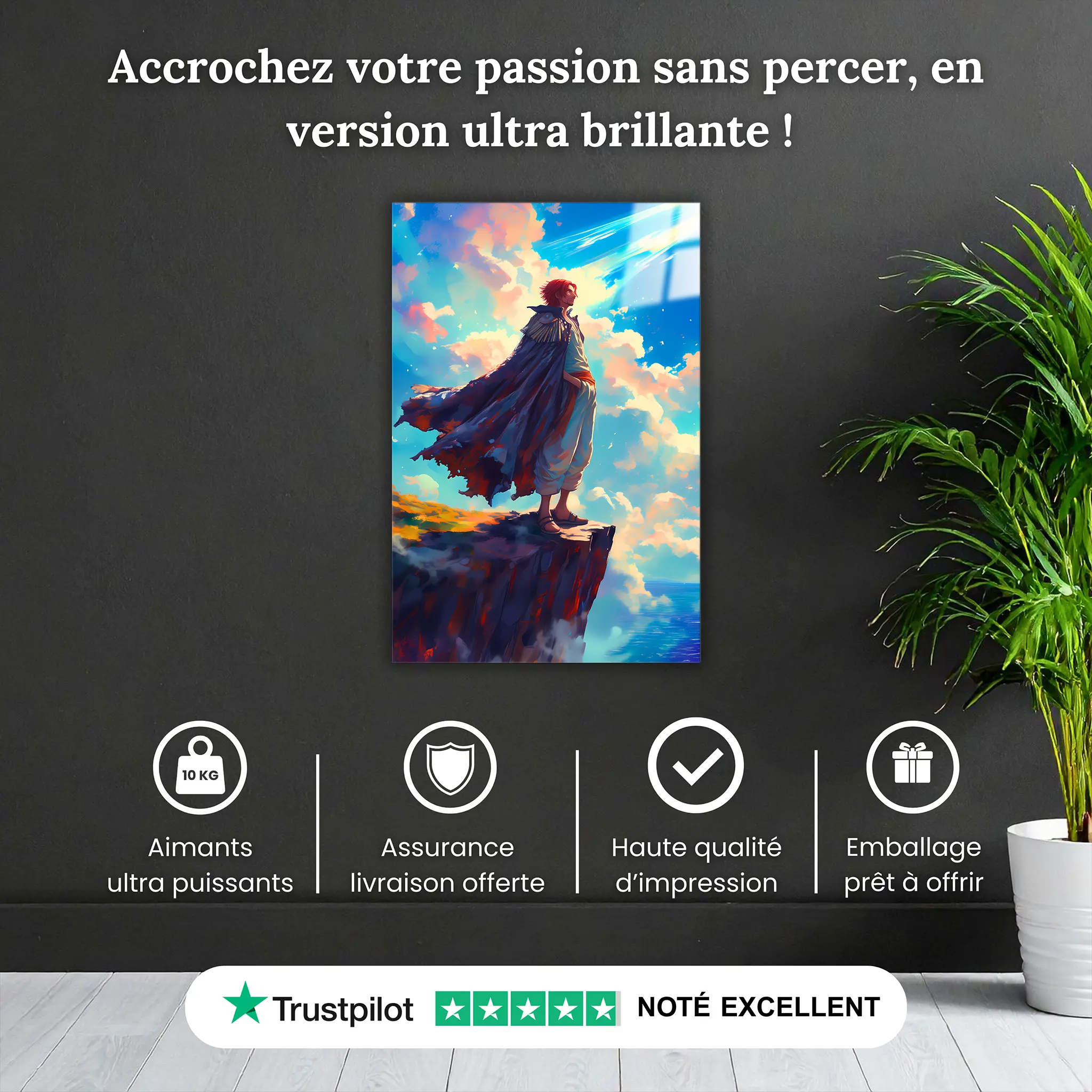 tableau-one-piece-epic-shanks-pourquoi-acheter | DreamWay