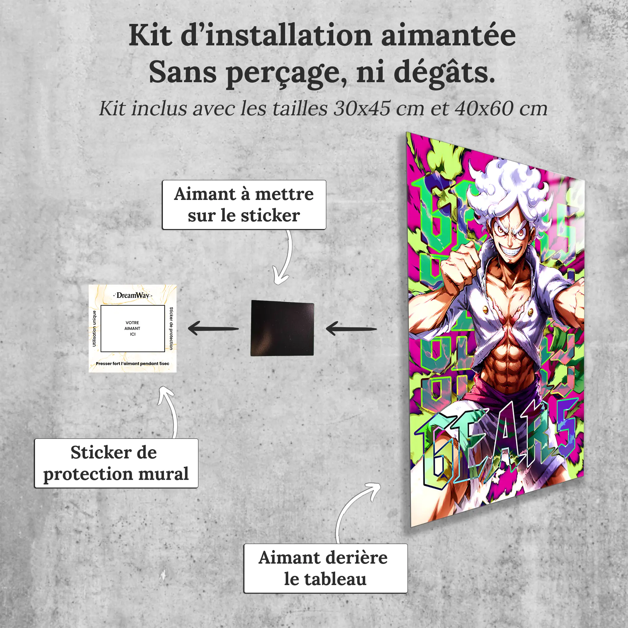 tableau-one-piece-gear-5-colore-avec-installation-aimantee | DreamWay