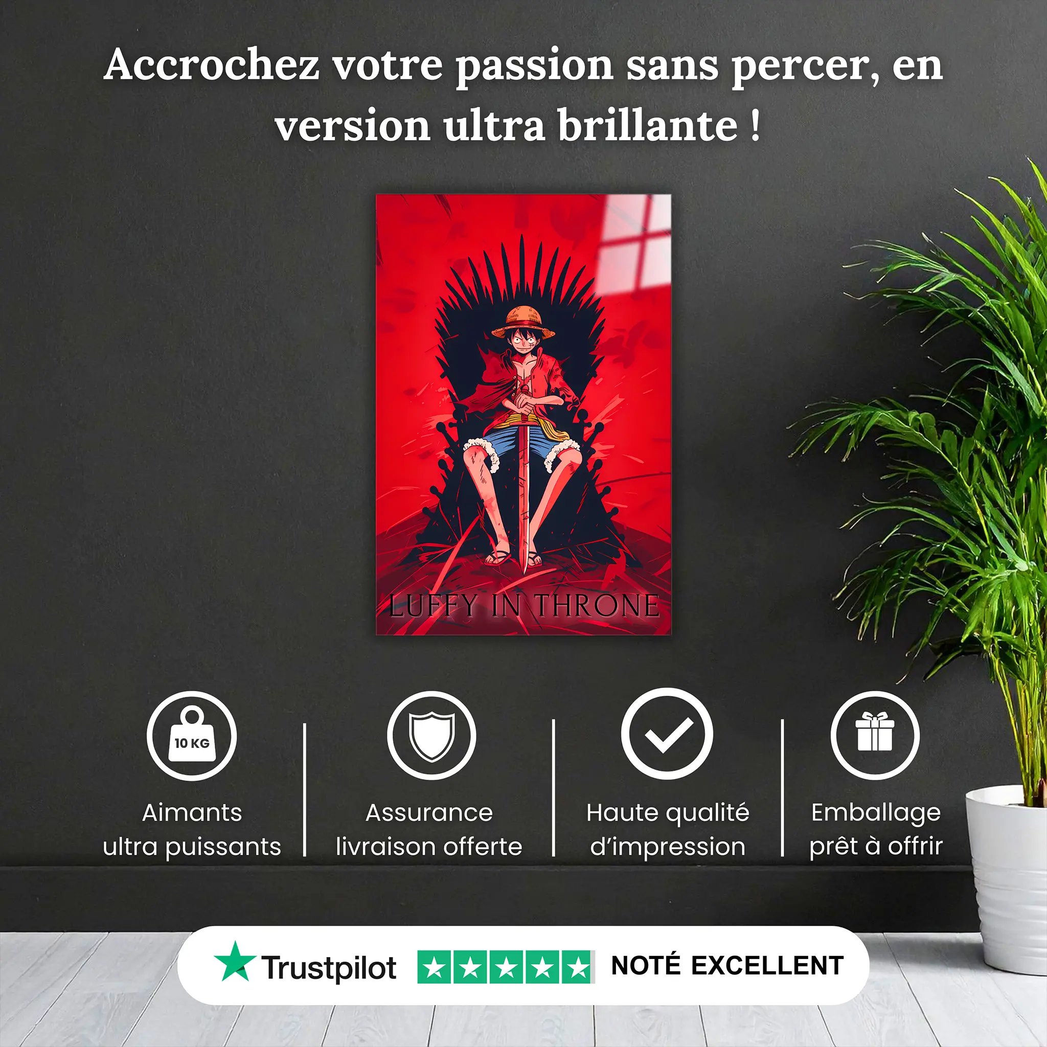 tableau-one-piece-le-roi-des-pirates-pourquoi-acheter | DreamWay