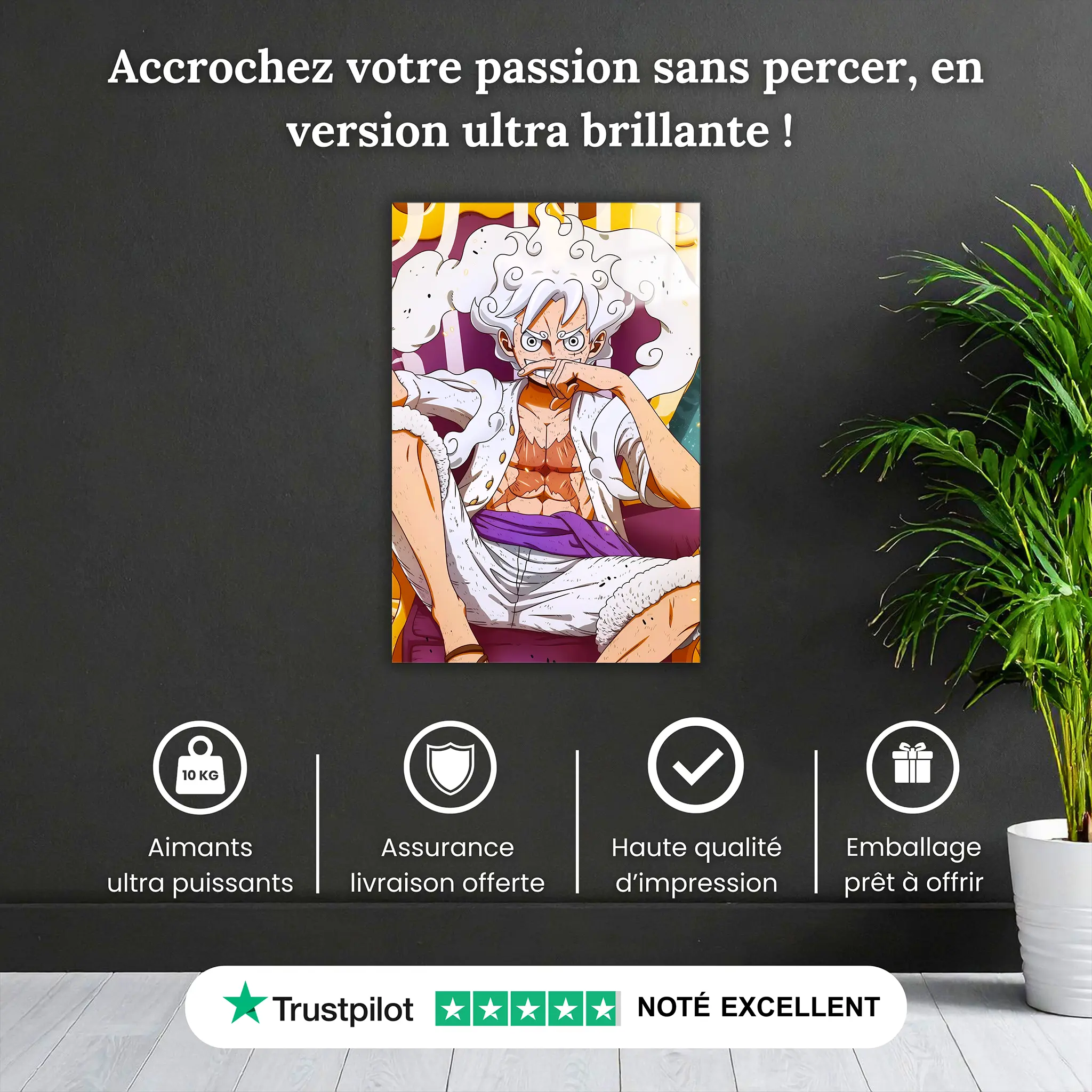 tableau-one-piece-luffy-gear-5-pourquoi-acheter | DreamWay