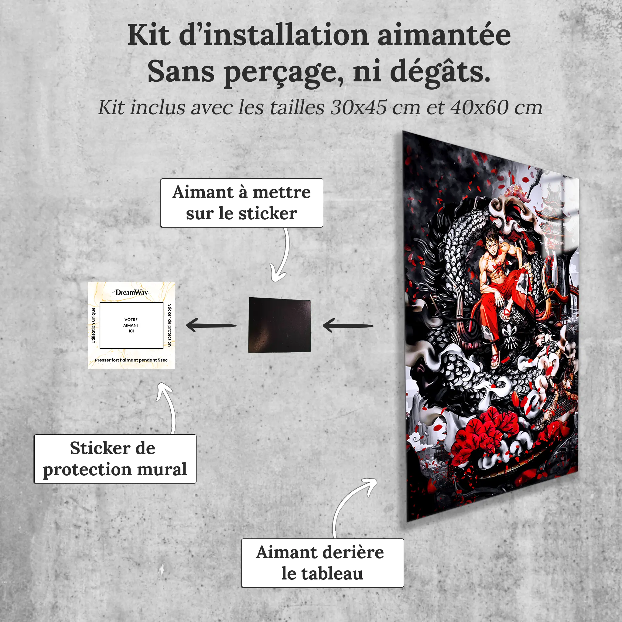 tableau-one-piece-luffy-le-roi-des-pirates-avec-installation-aimantee | DreamWay