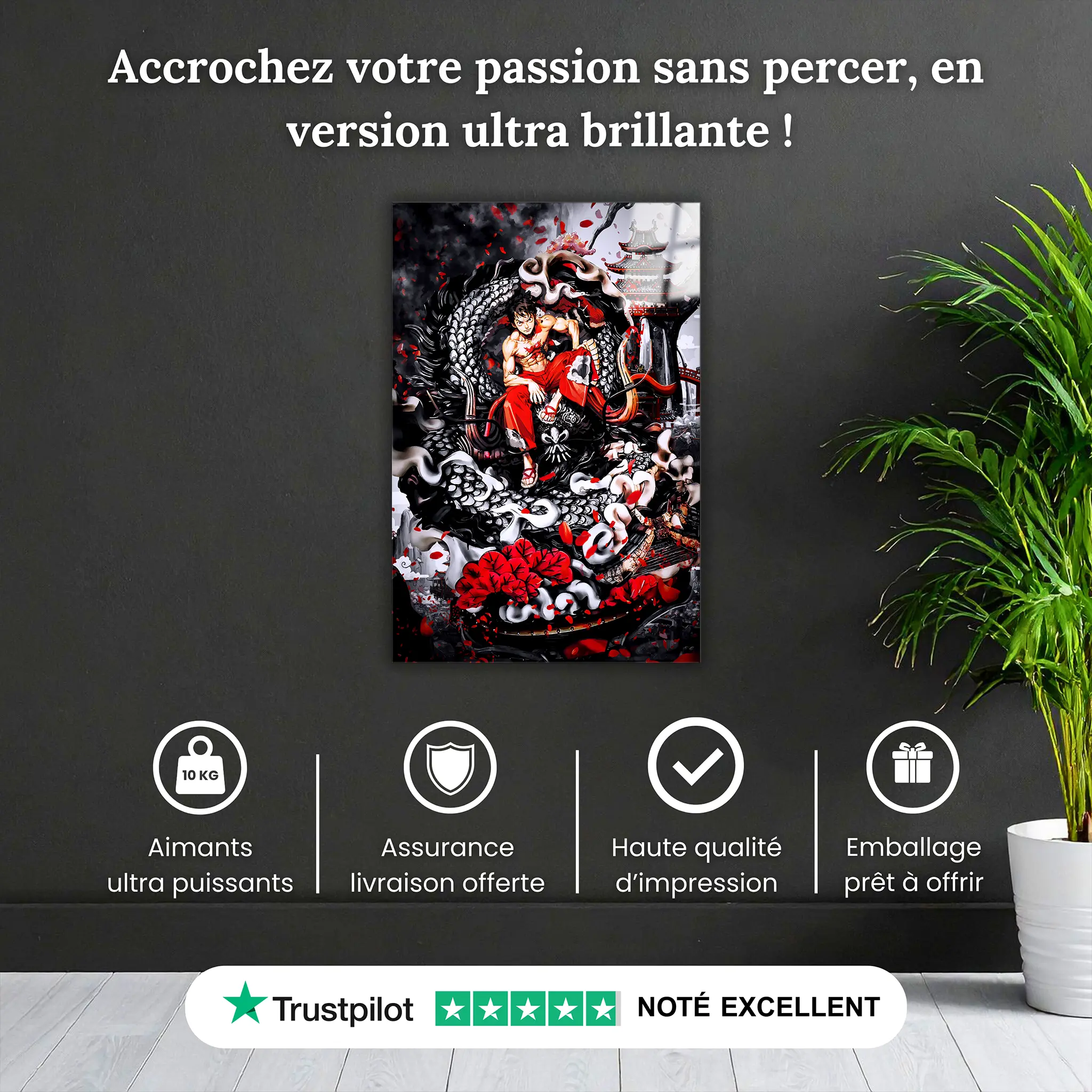 tableau-one-piece-luffy-le-roi-des-pirates-pourquoi-acheter | DreamWay