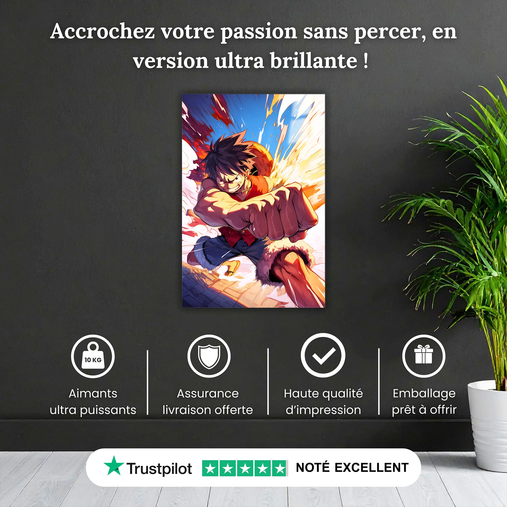tableau-one-piece-luffy-pourquoi-acheter | DreamWay