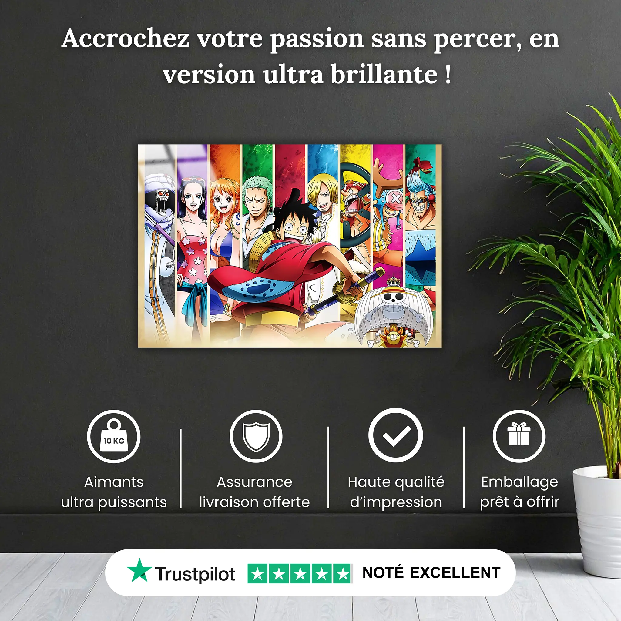 tableau-one-piece-mugiwara-pourquoi-acheter | DreamWay