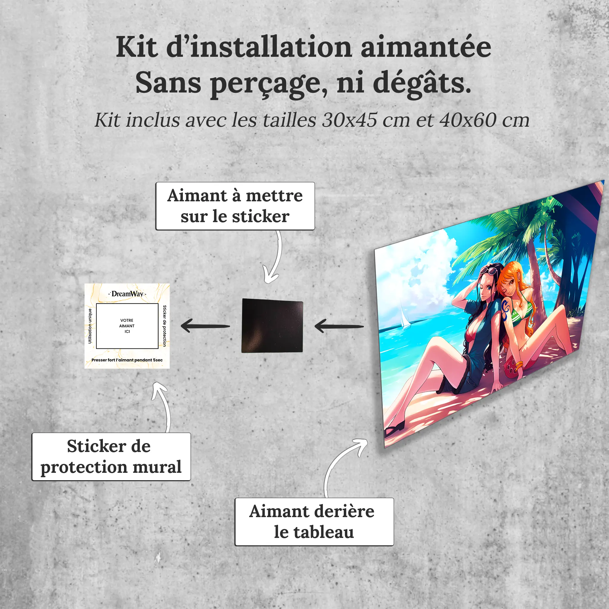 tableau-one-piece-nami-et-robin-avec-installation-aimantee | DreamWay