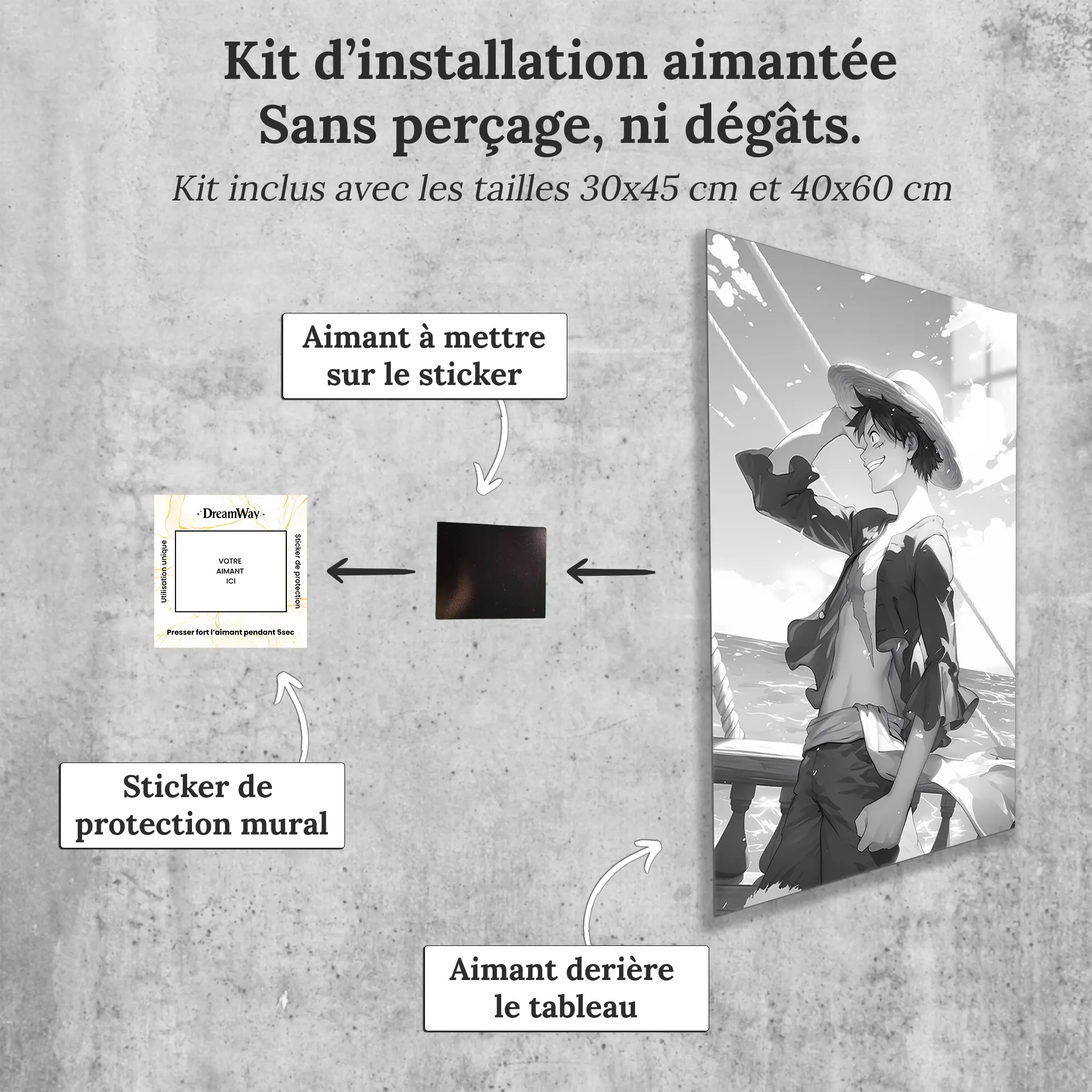 tableau-one-piece-noir-et-blanc-avec-installation-aimantee | DreamWay
