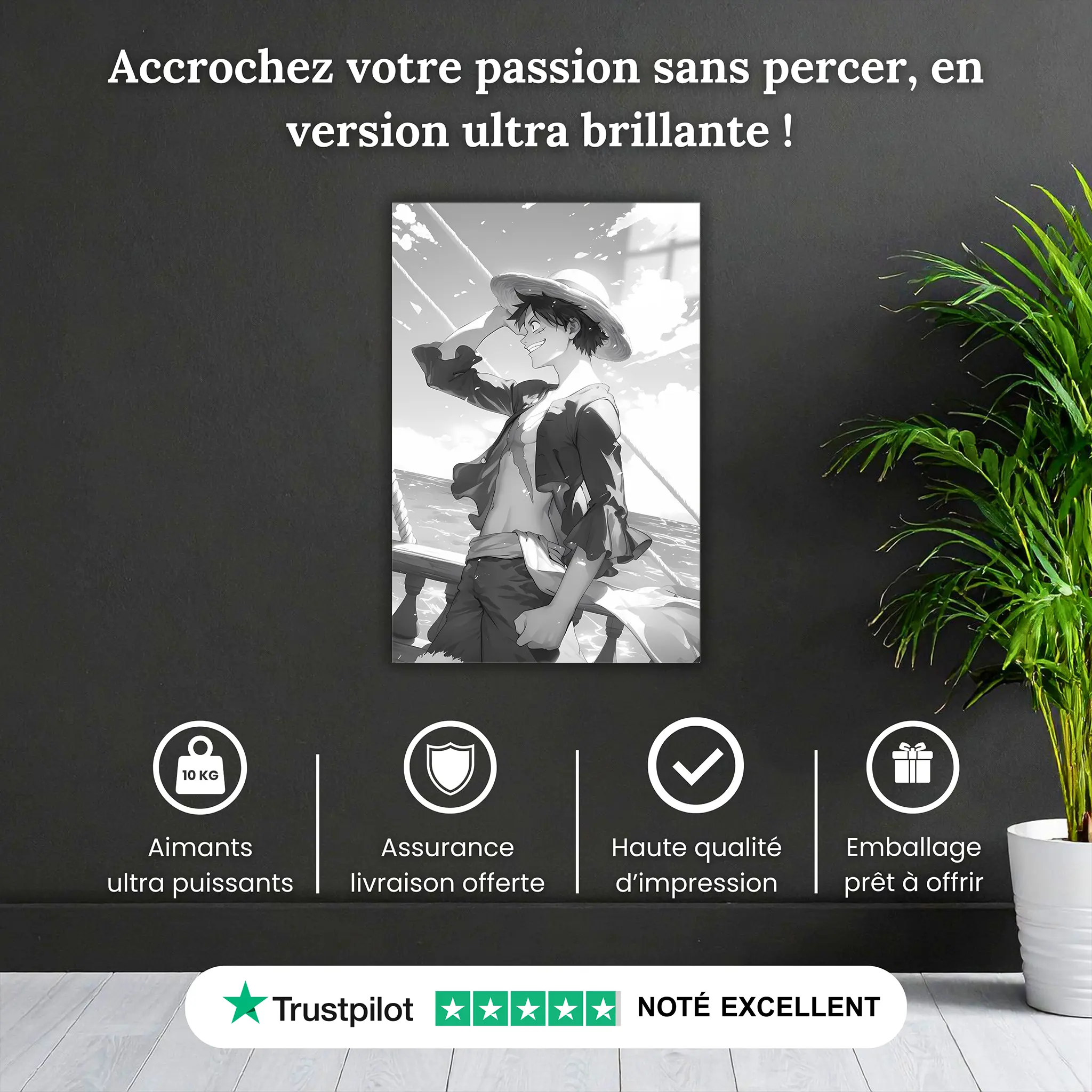 tableau-one-piece-noir-et-blanc-pourquoi-acheter | DreamWay