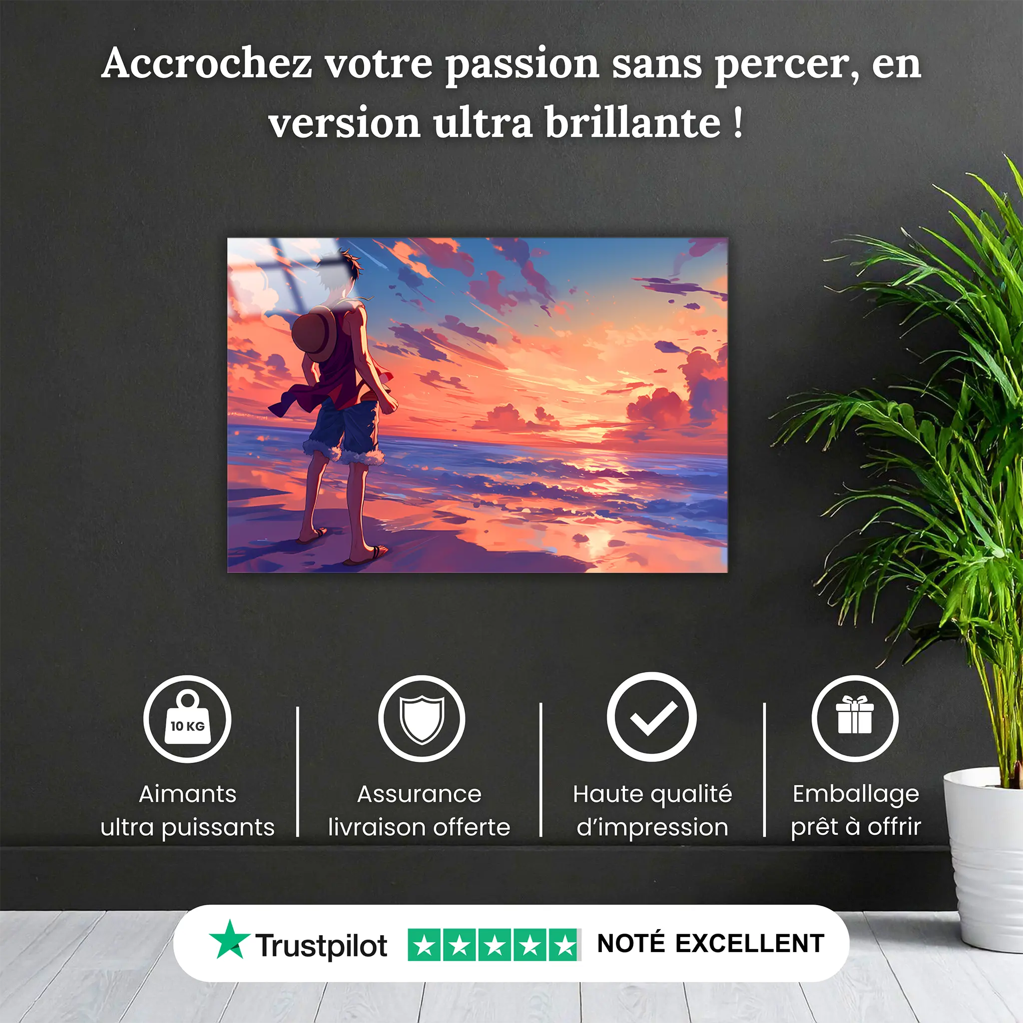 tableau-one-piece-plage-pourquoi-acheter | DreamWay