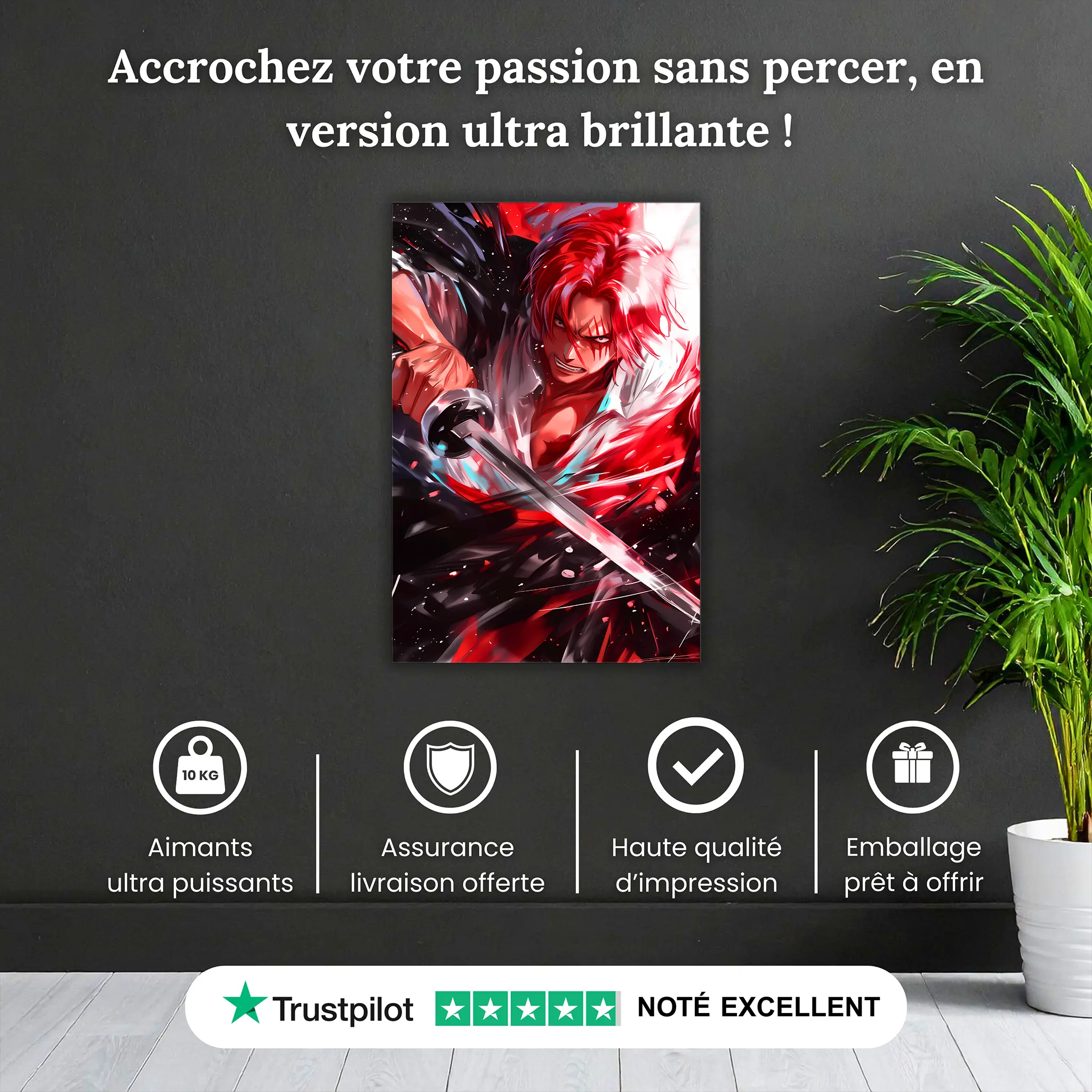 tableau-one-piece-shanks-le-roux-pourquoi-acheter | DreamWay