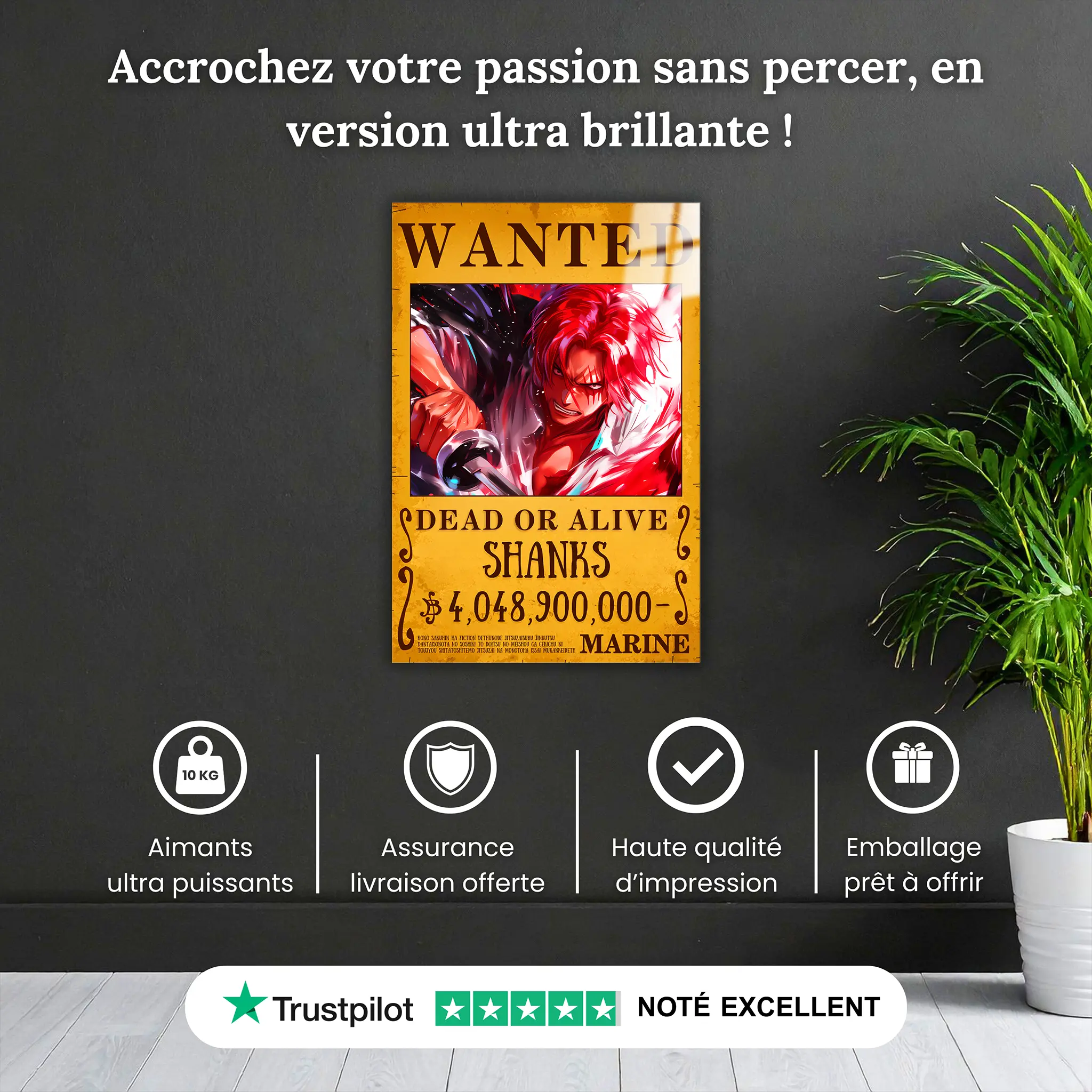tableau-one-piece-shanks-wanted-pourquoi-acheter | DreamWay