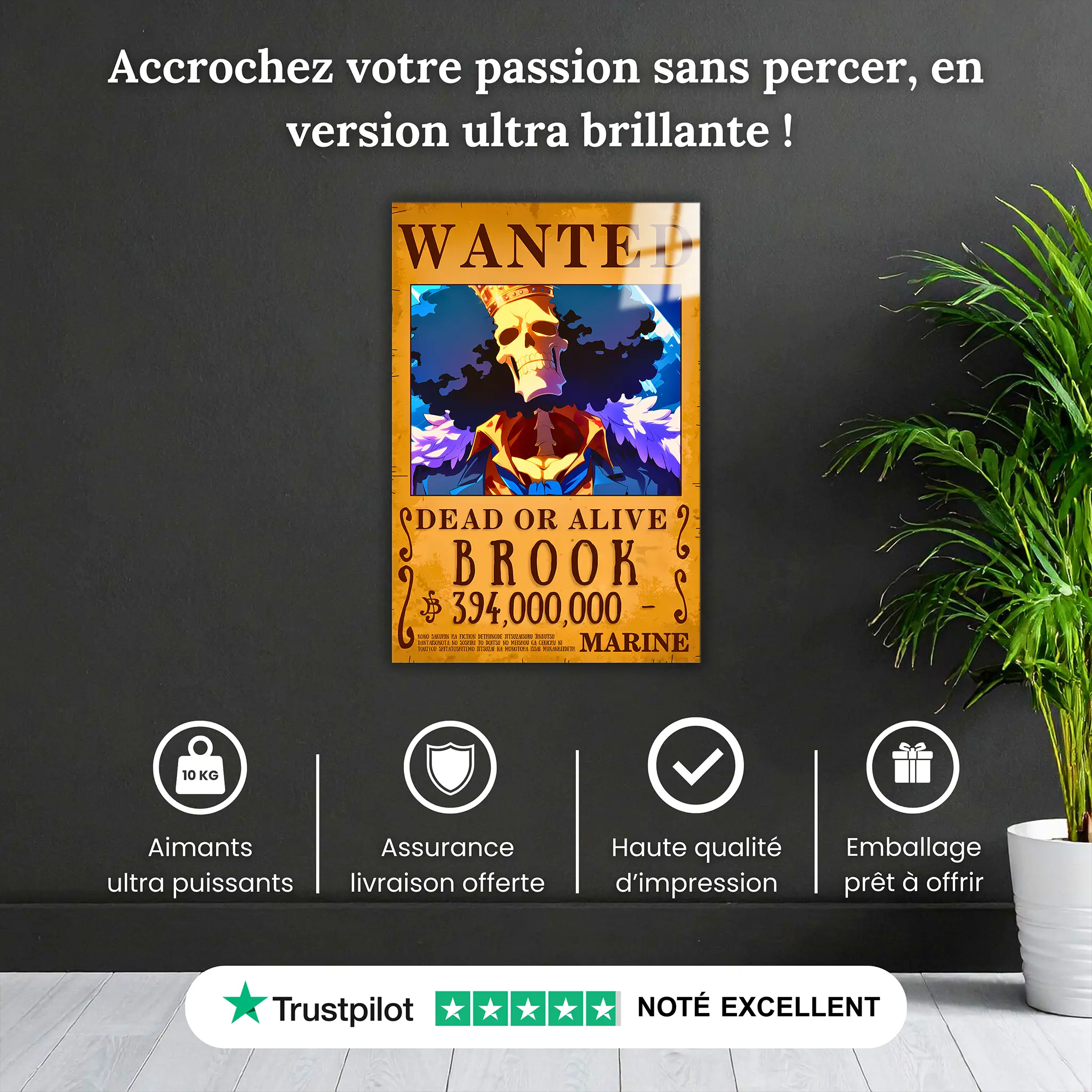 tableau-one-piece-wanted-Brook-pourquoi-acheter | DreamWay